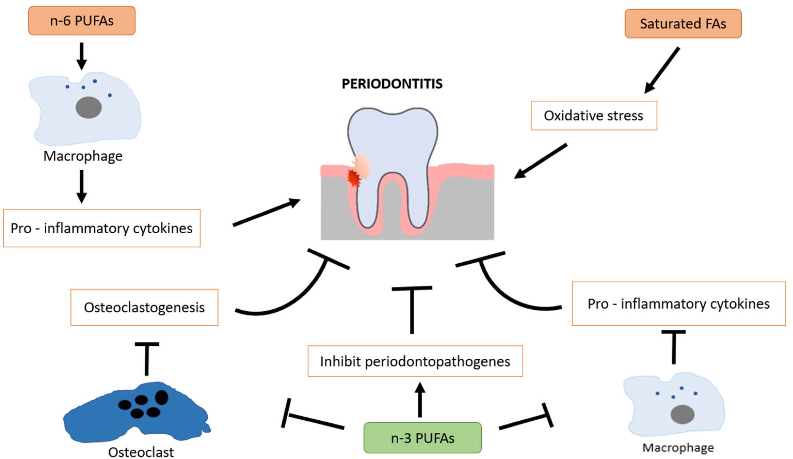Dentistry 13 00178 g002