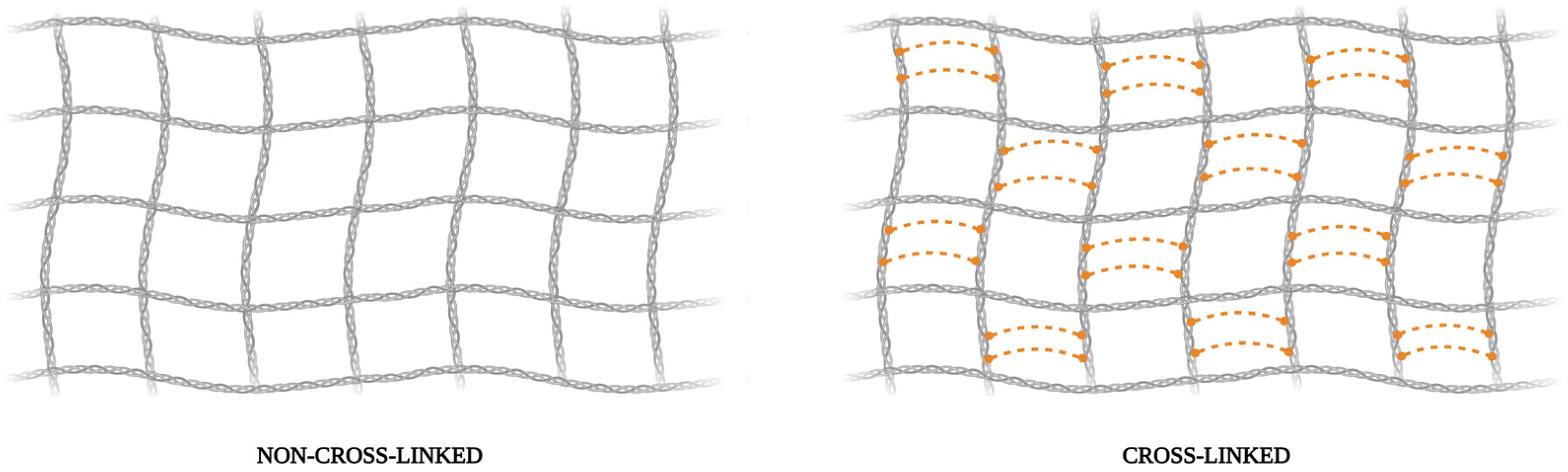 Dentistry 13 00179 g001