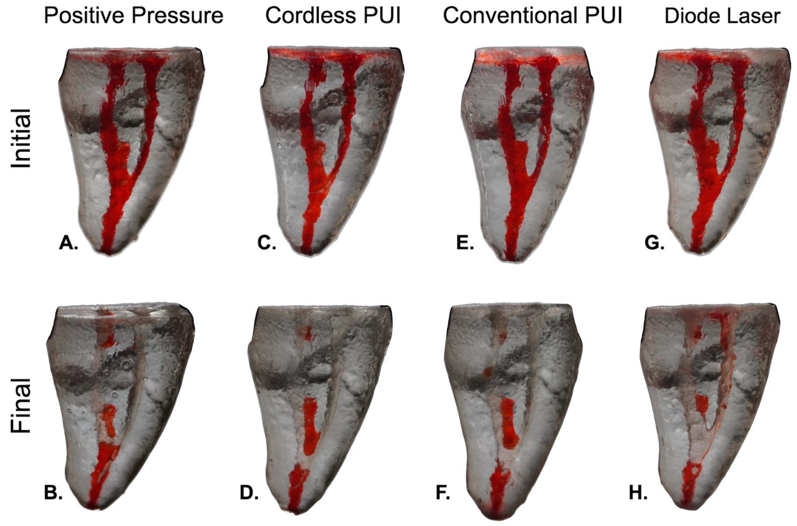 Dentistry 13 00192 g003