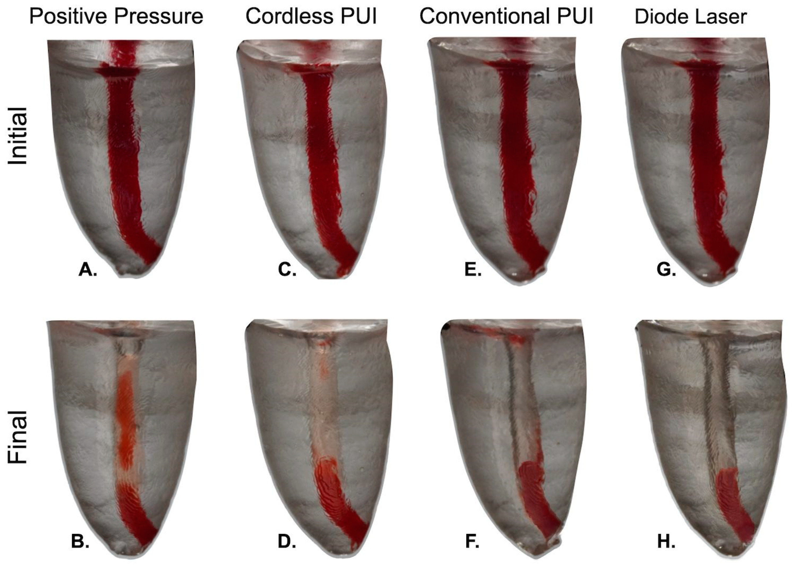 Dentistry 13 00192 g004