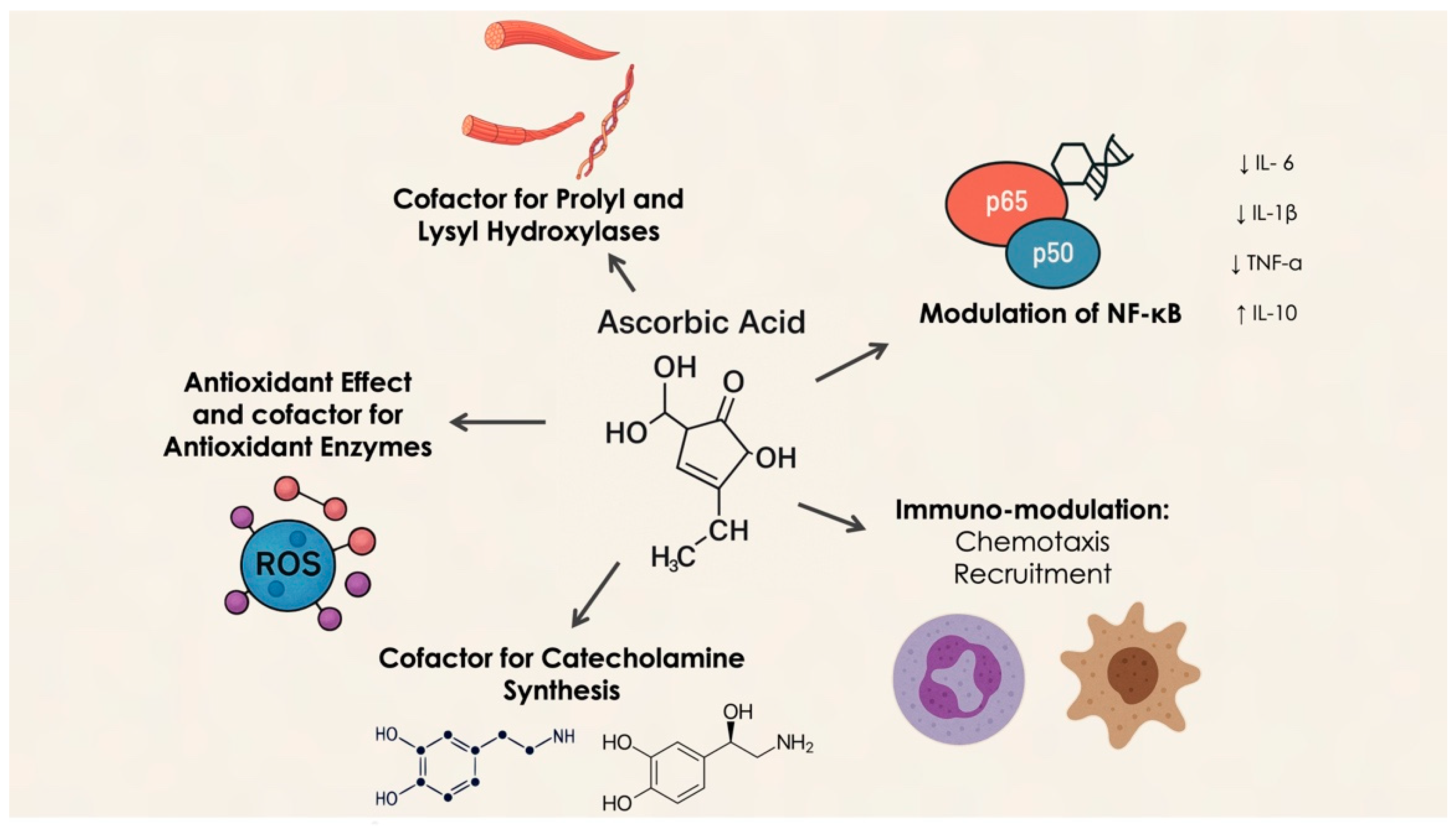 Dentistry 13 00200 g001