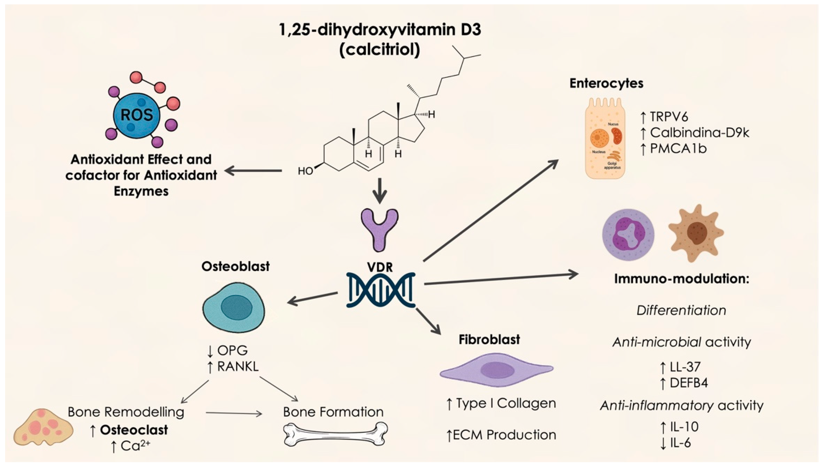Dentistry 13 00200 g002