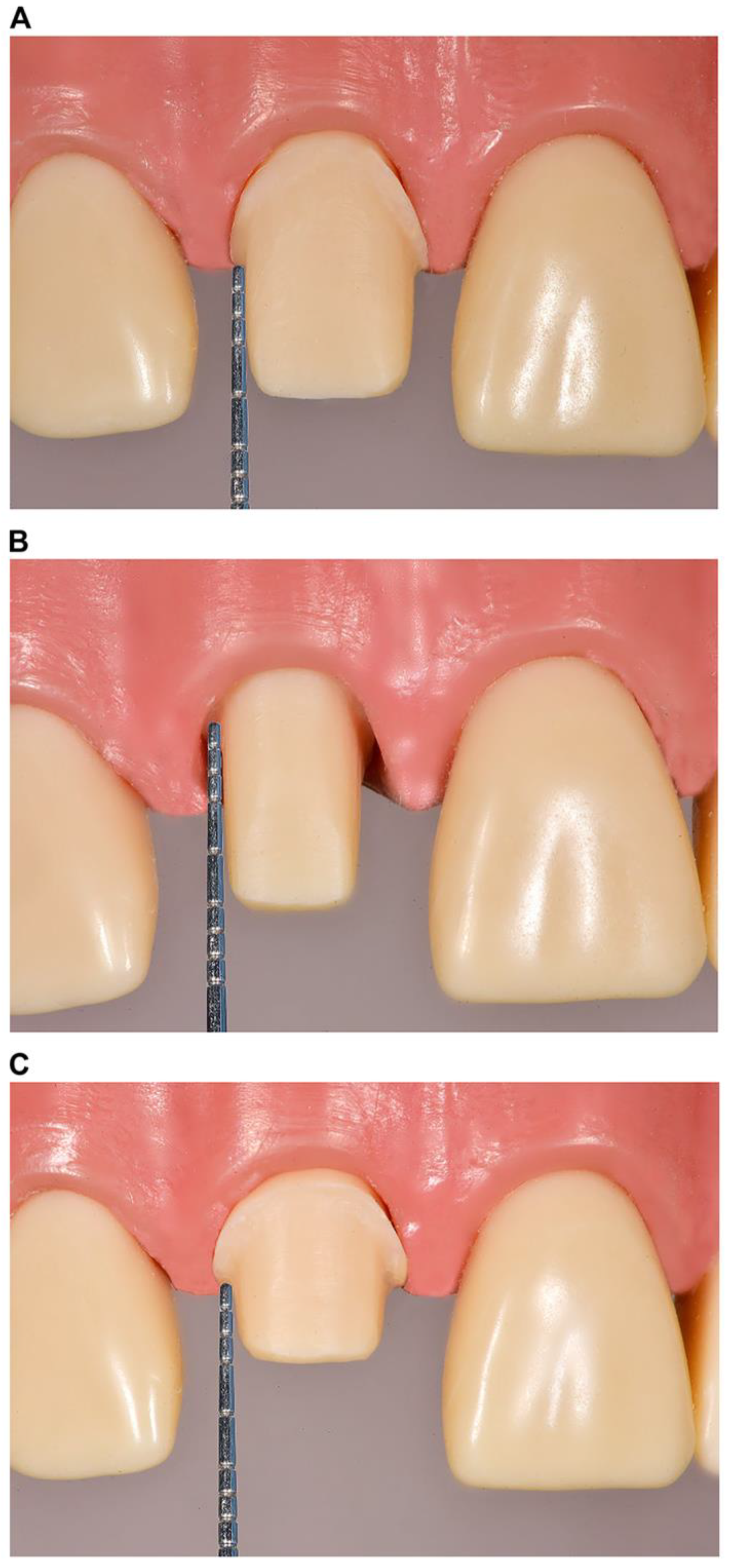 Dentistry 13 00207 g001