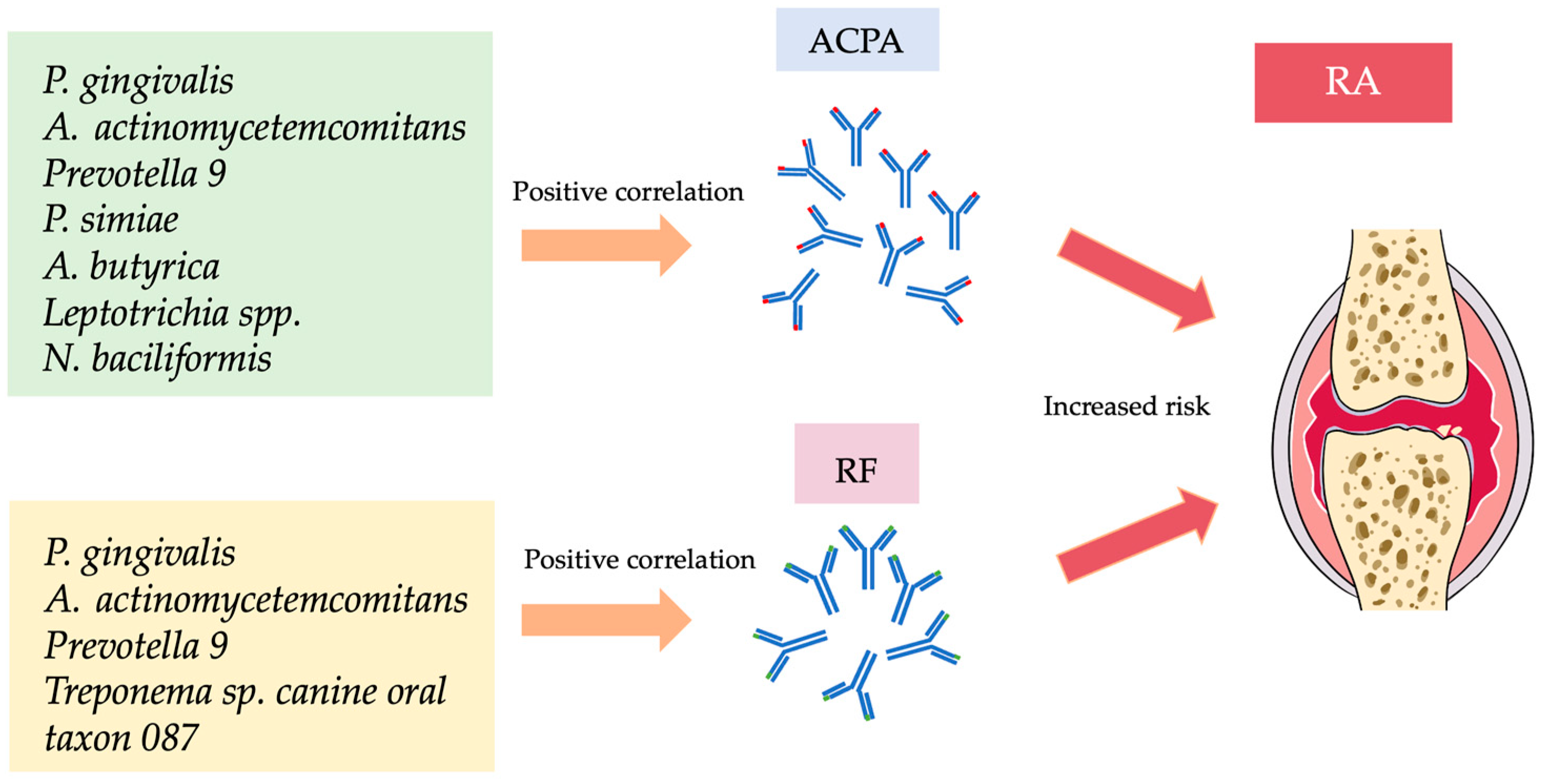 Dentistry 13 00214 g004