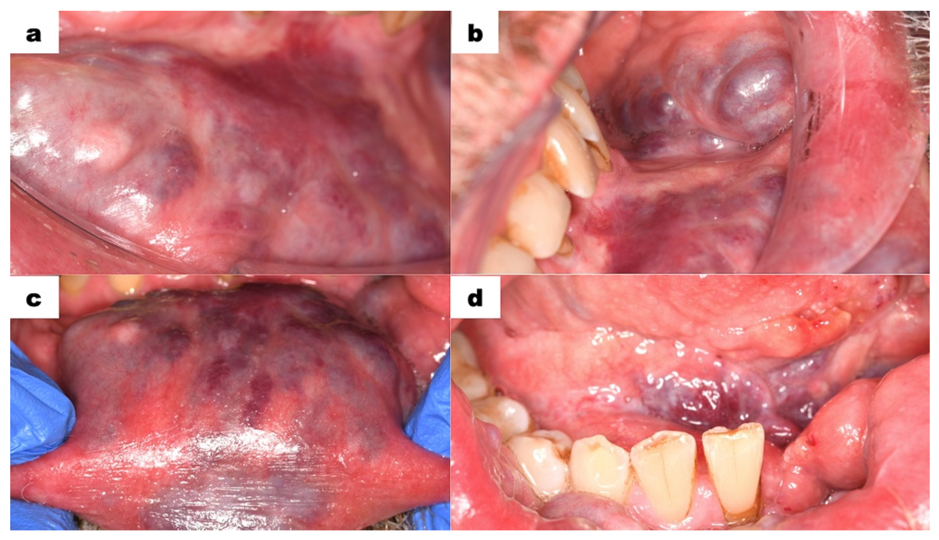 Dentistry 13 00217 g002