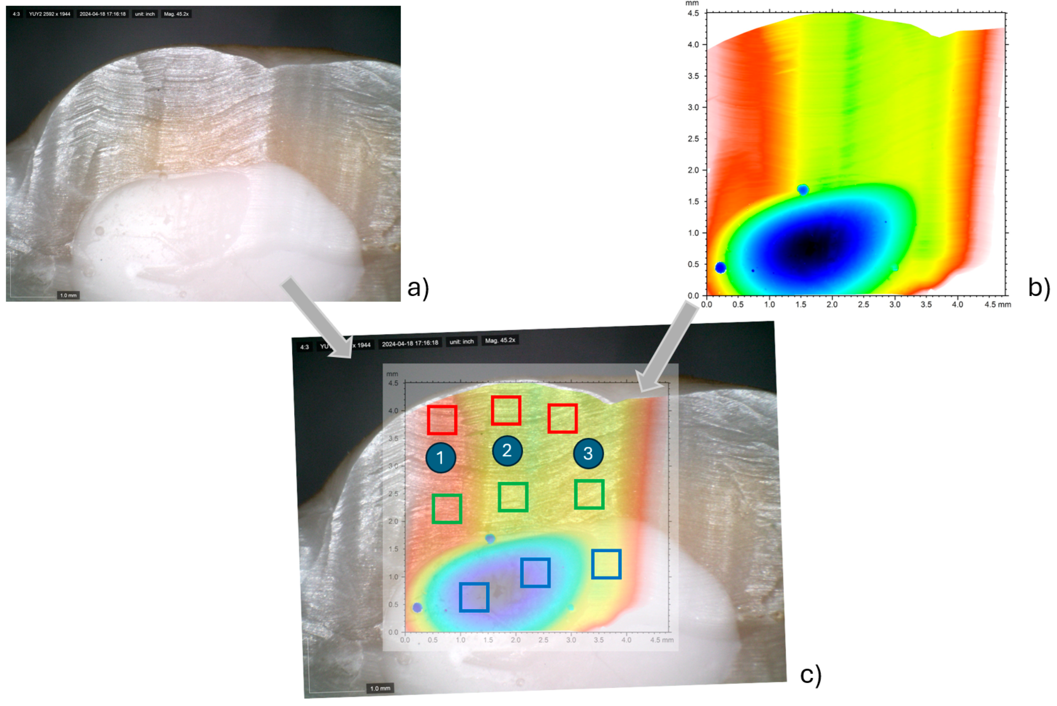 Dentistry 13 00223 g002
