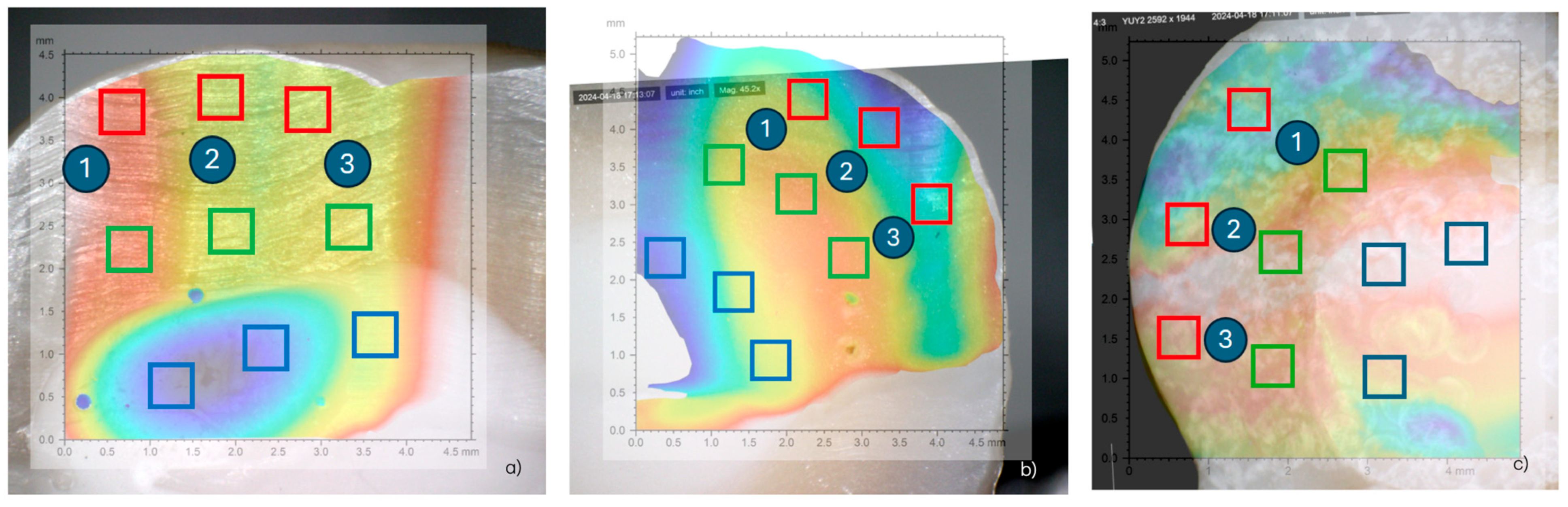 Dentistry 13 00223 g005