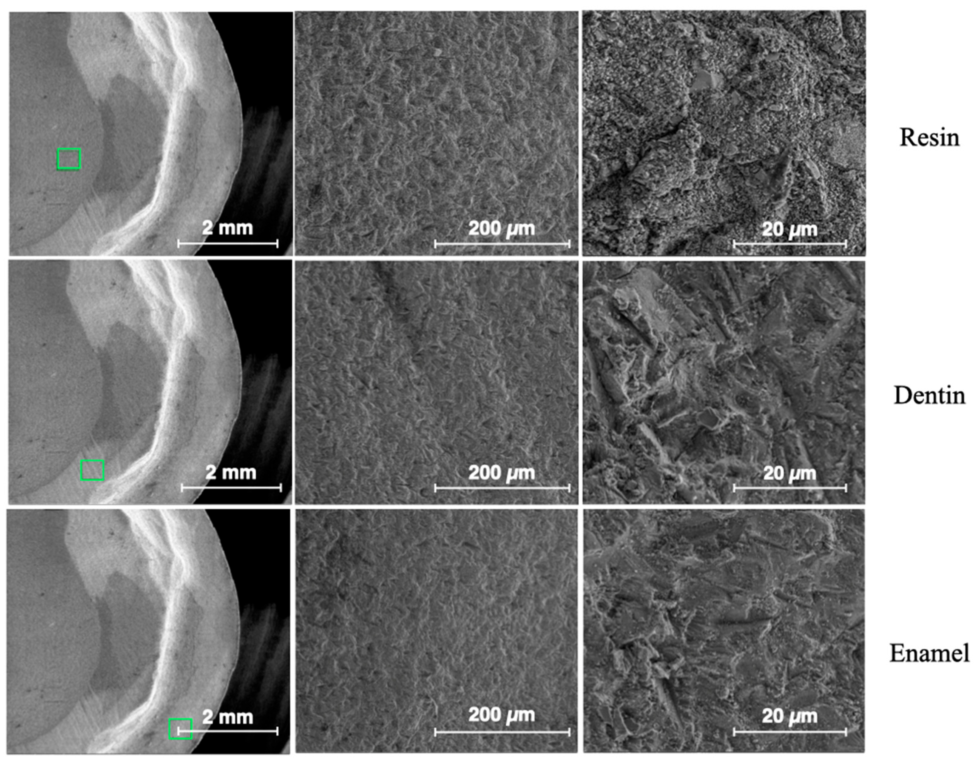 Dentistry 13 00223 g009