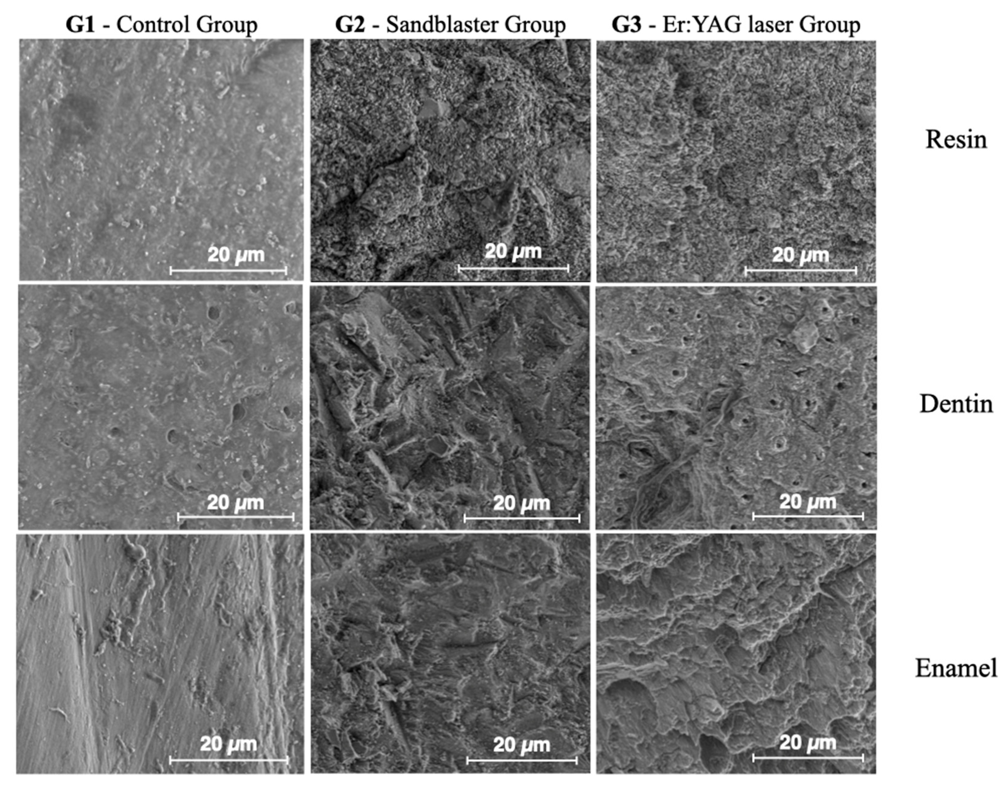 Dentistry 13 00223 g011