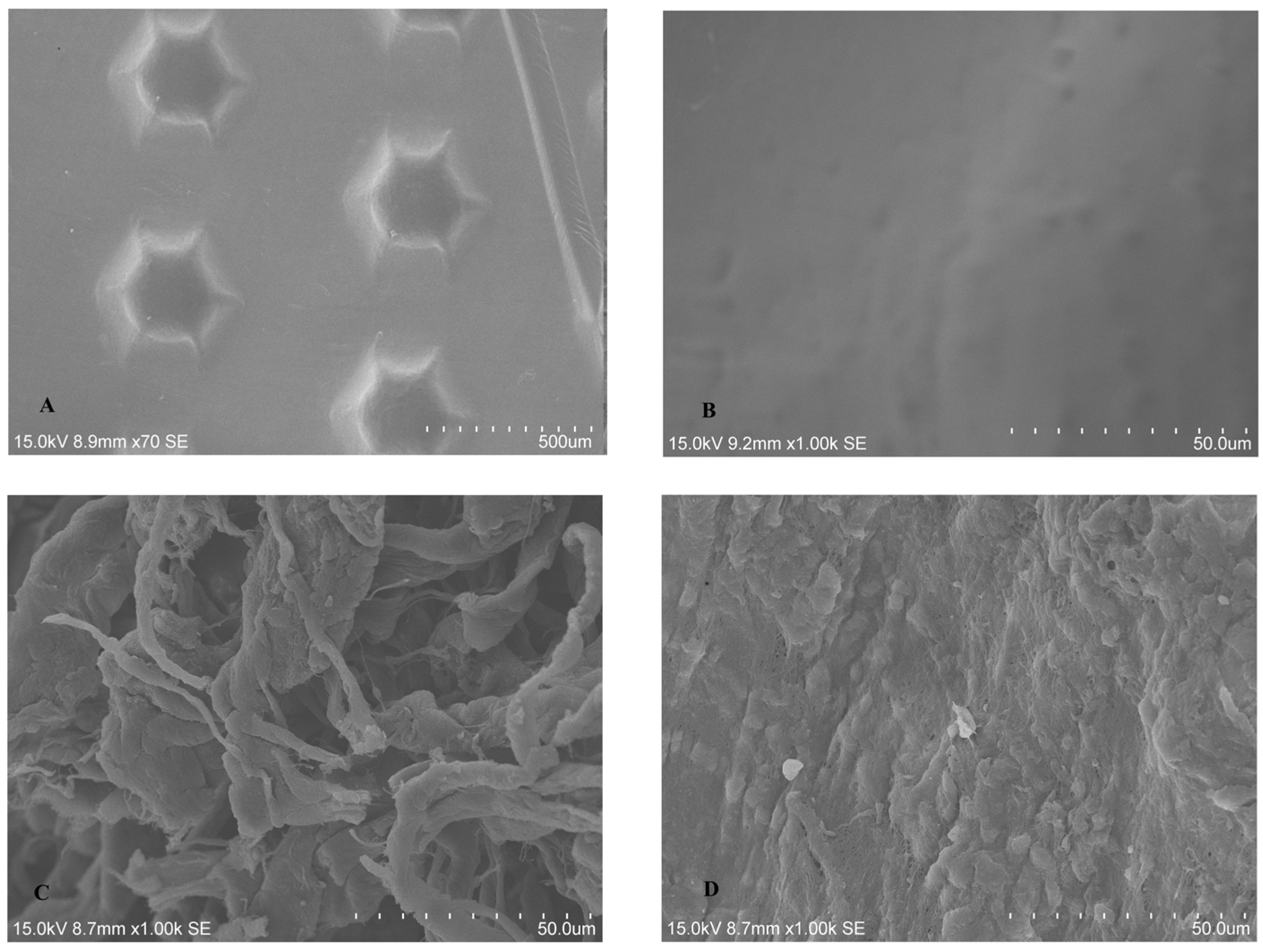 Dentistry 13 00228 g001