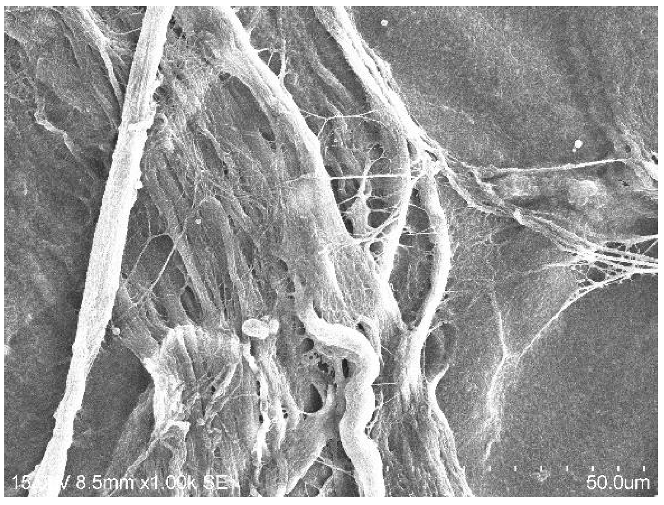 Dentistry 13 00228 g003