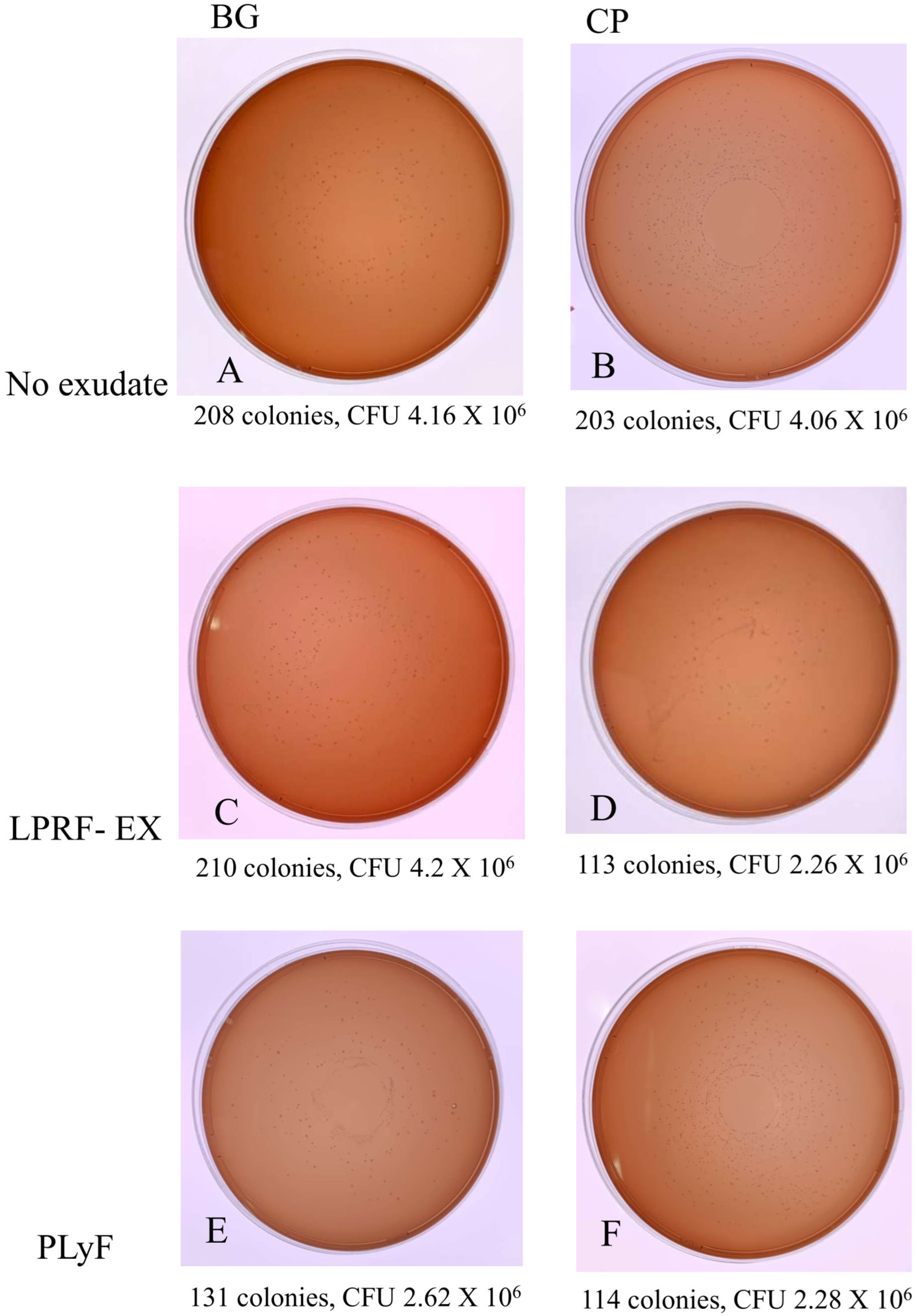 Dentistry 13 00228 g006
