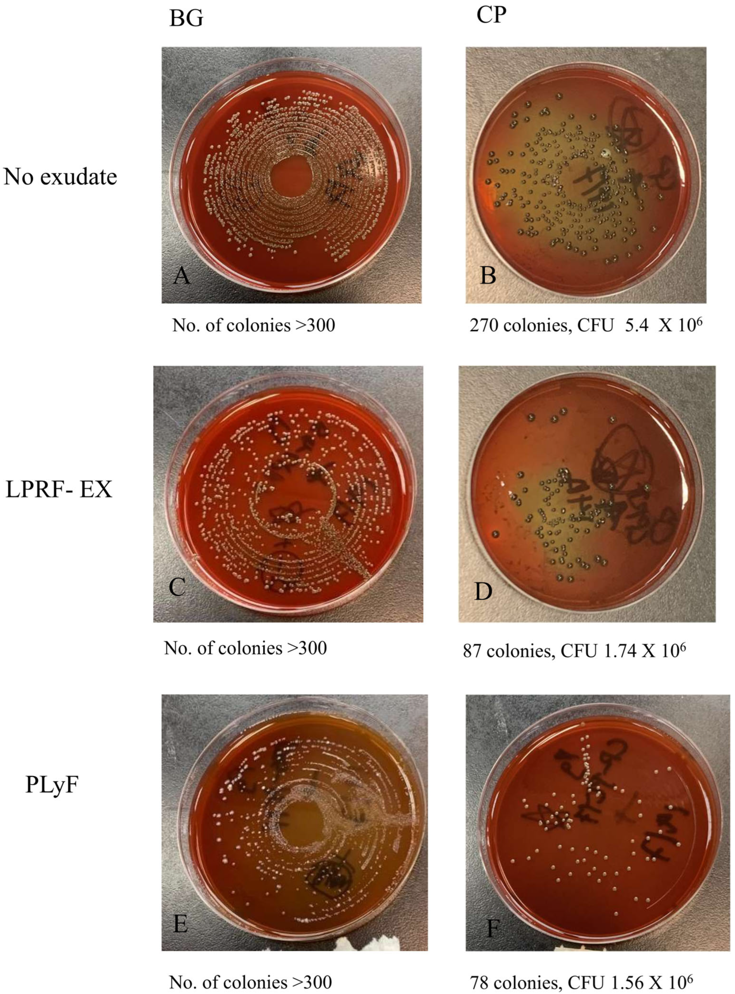Dentistry 13 00228 g007