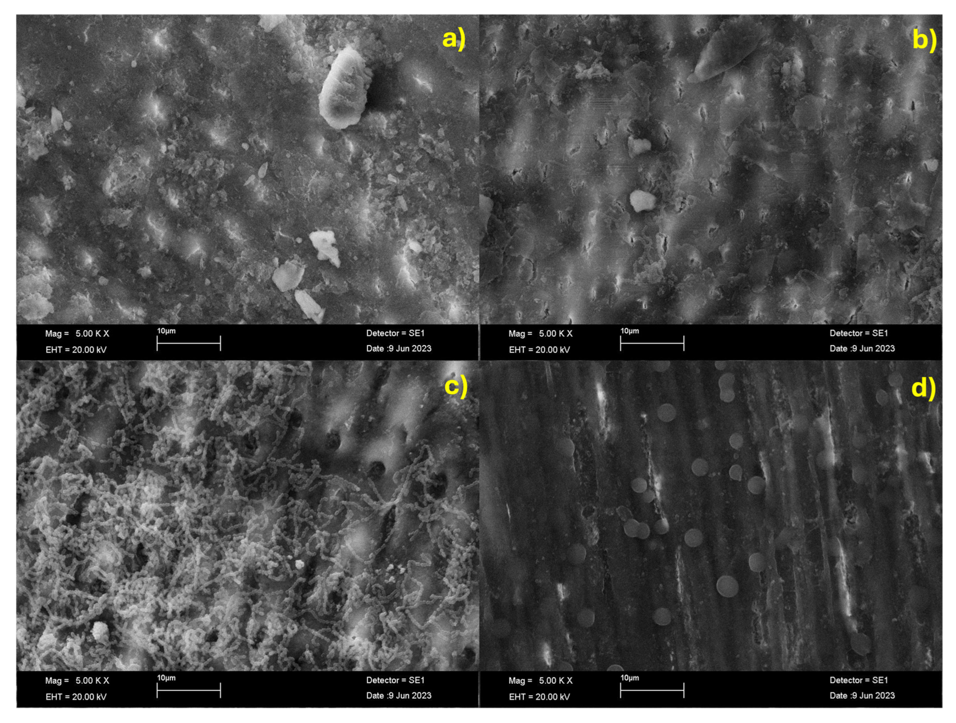 Dentistry 13 00246 g007