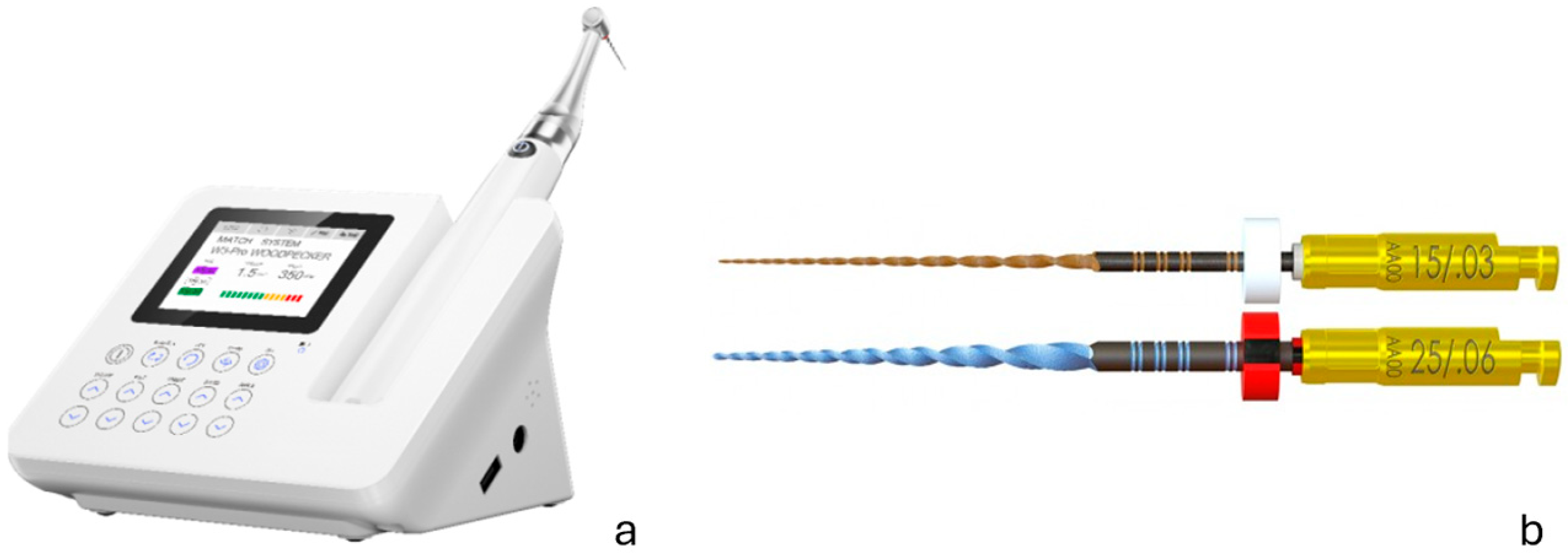 Dentistry 13 00262 g001