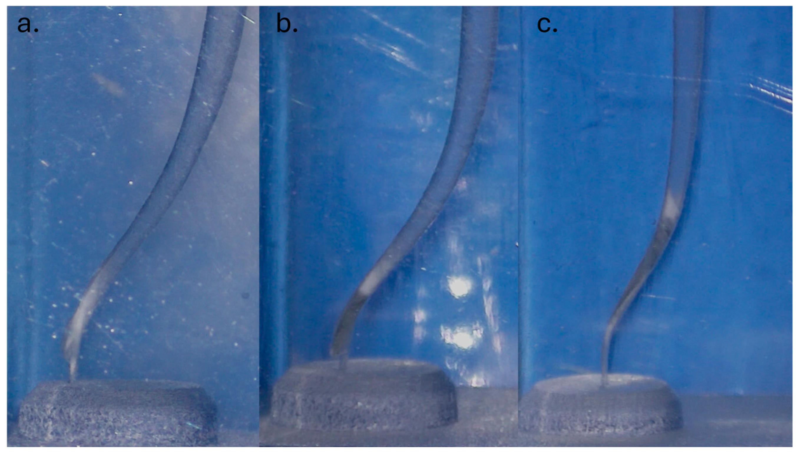 Dentistry 13 00262 g004