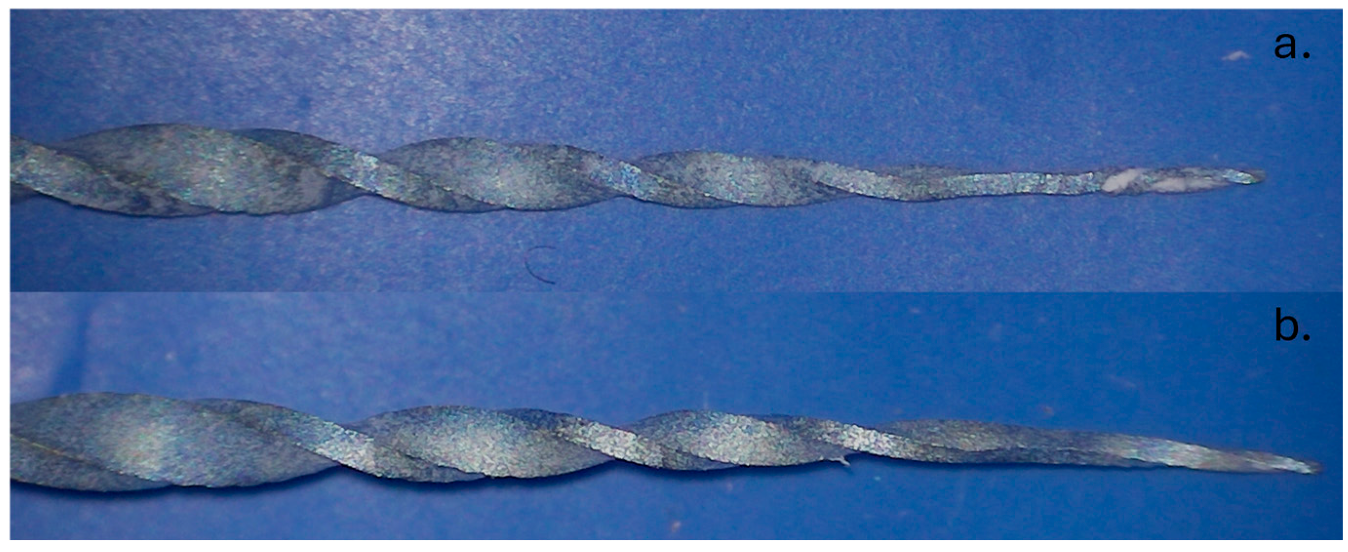 Dentistry 13 00262 g005