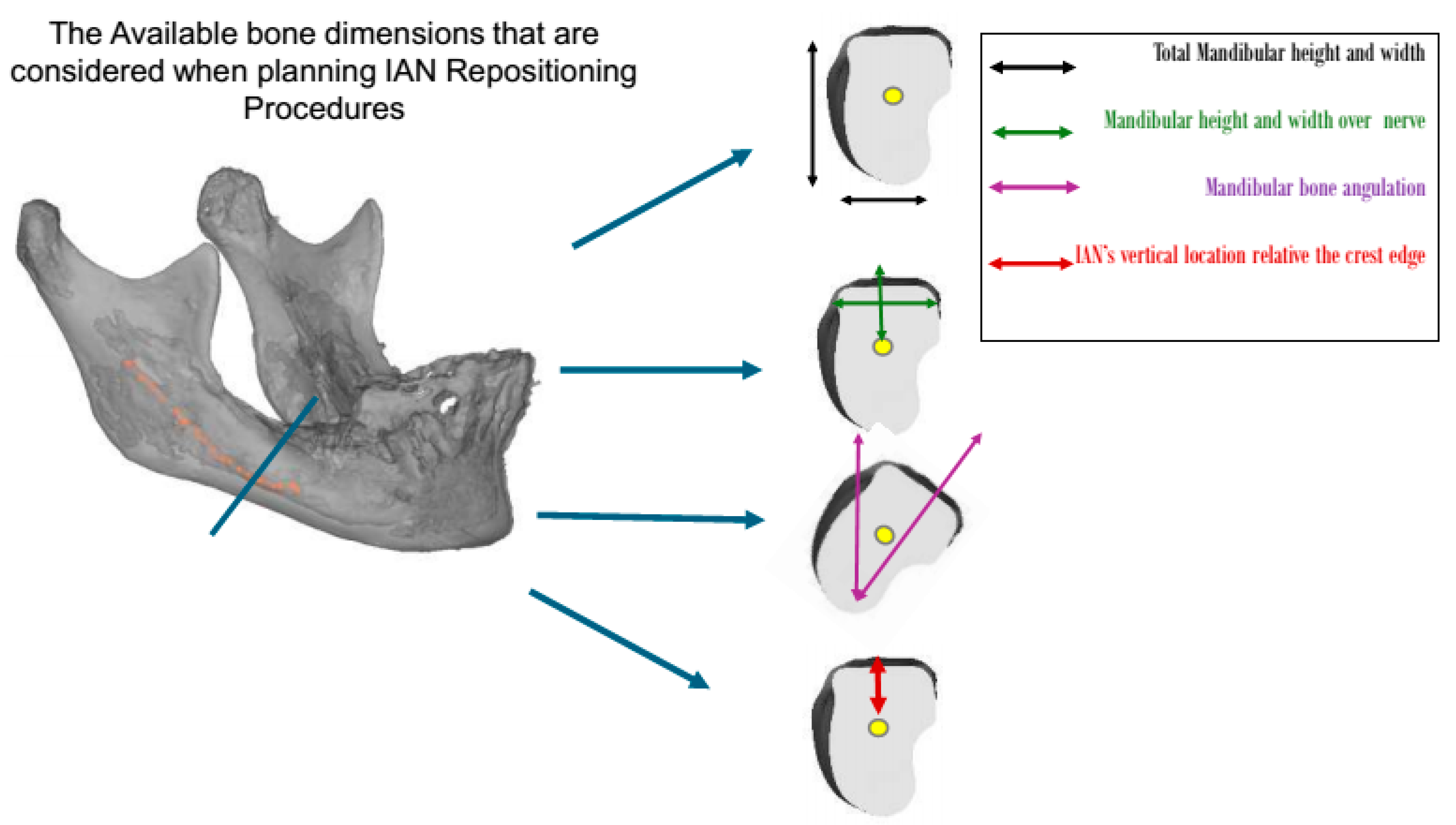 Dentistry 13 00267 g001 Dentistry 13 00267 g001