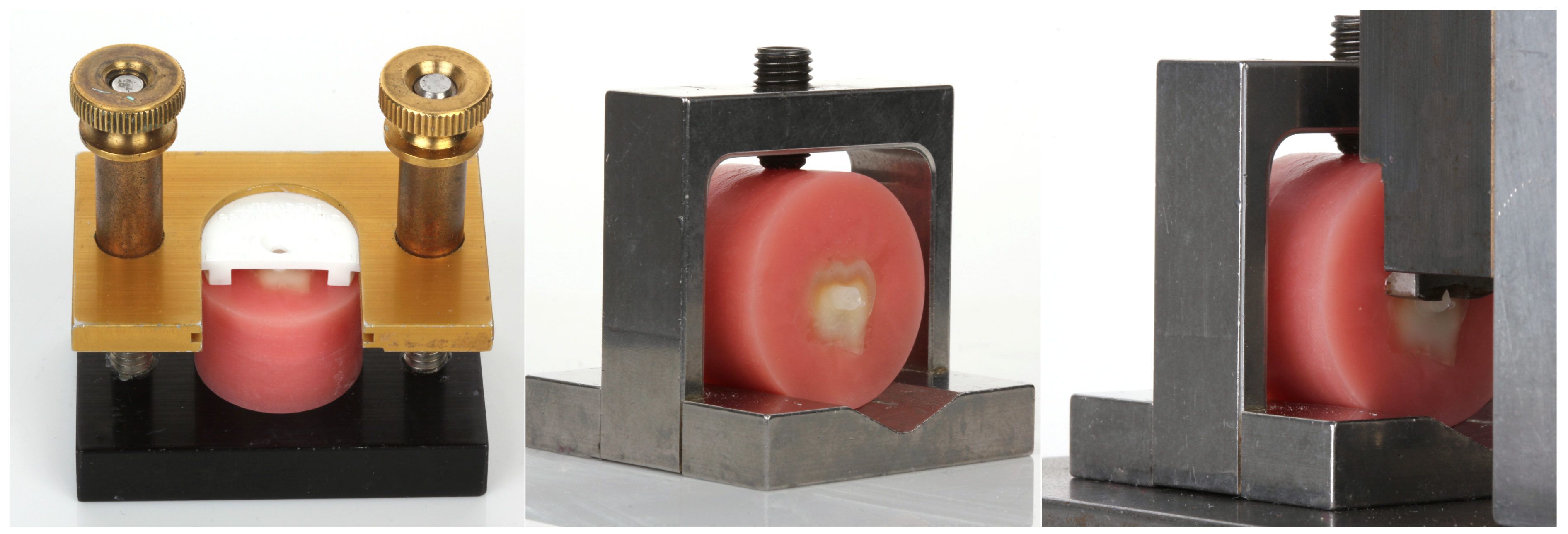 Dentistry 13 00276 g001