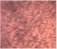 Dentistry 13 00277 i014