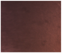 Dentistry 13 00277 i015