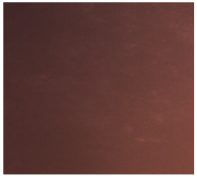 Dentistry 13 00277 i016