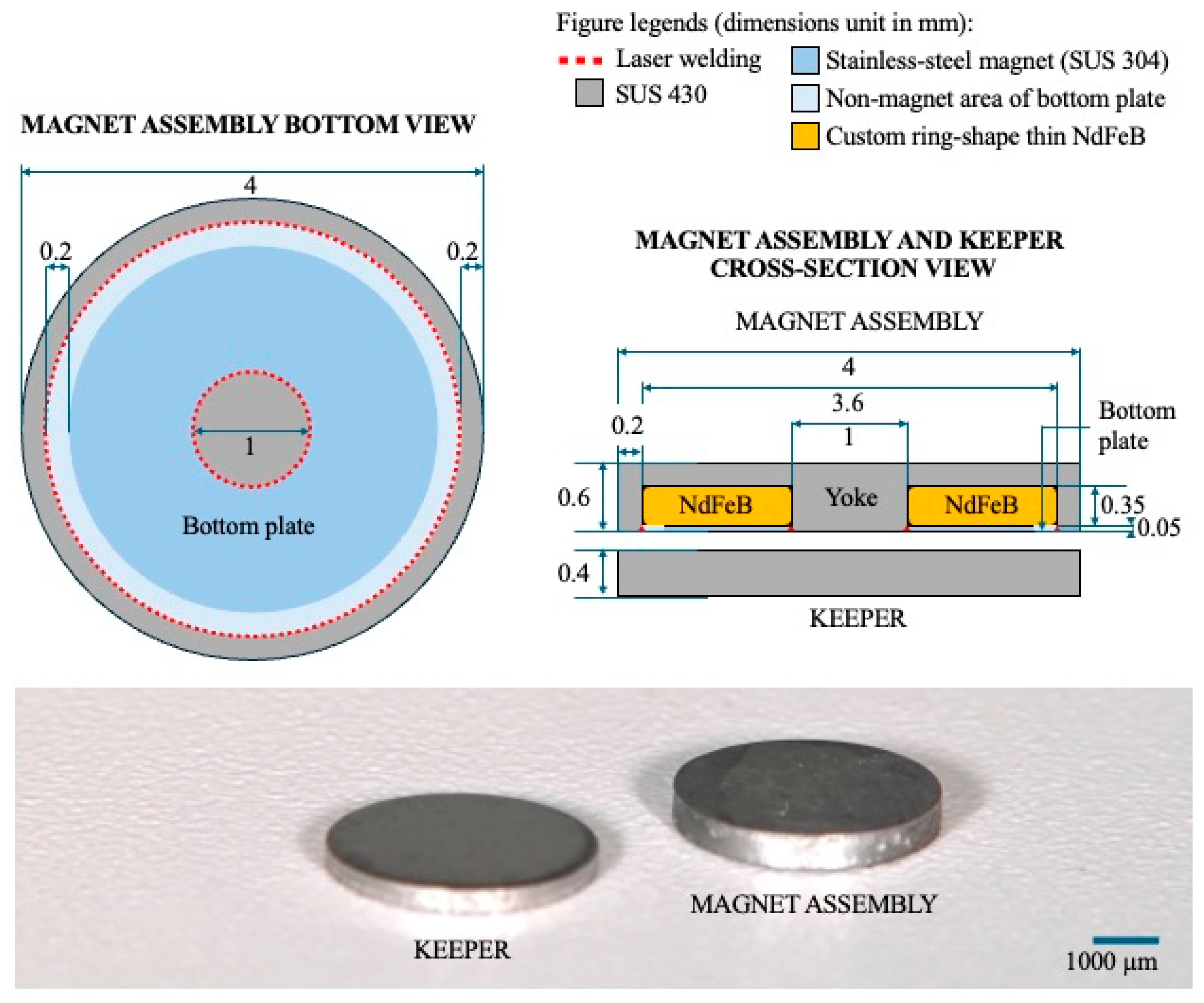 Dentistry 13 00278 g001
