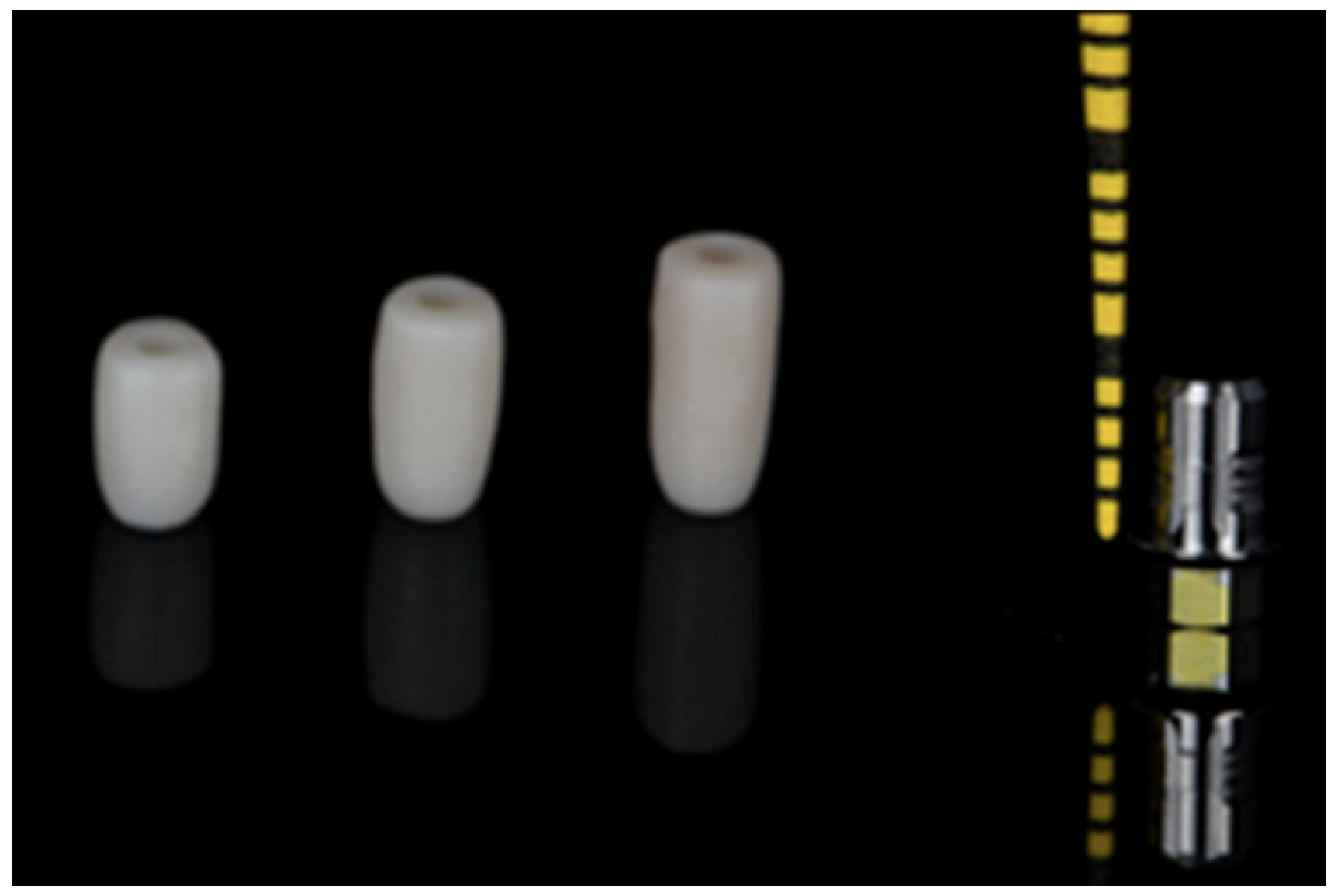 Dentistry 13 00284 g002