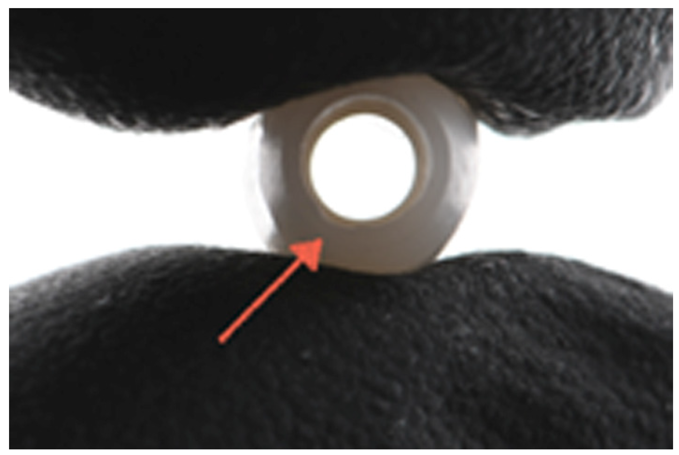 Dentistry 13 00284 g003