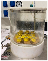 Dentistry 13 00285 i013