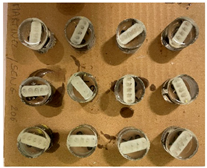 Dentistry 13 00285 i014