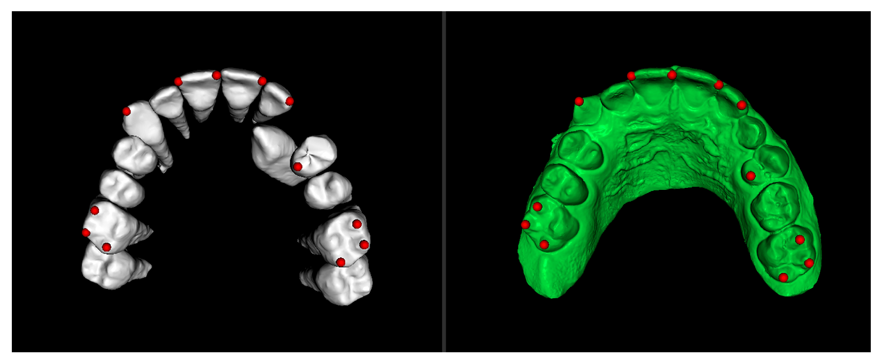 Dentistry 13 00286 g004