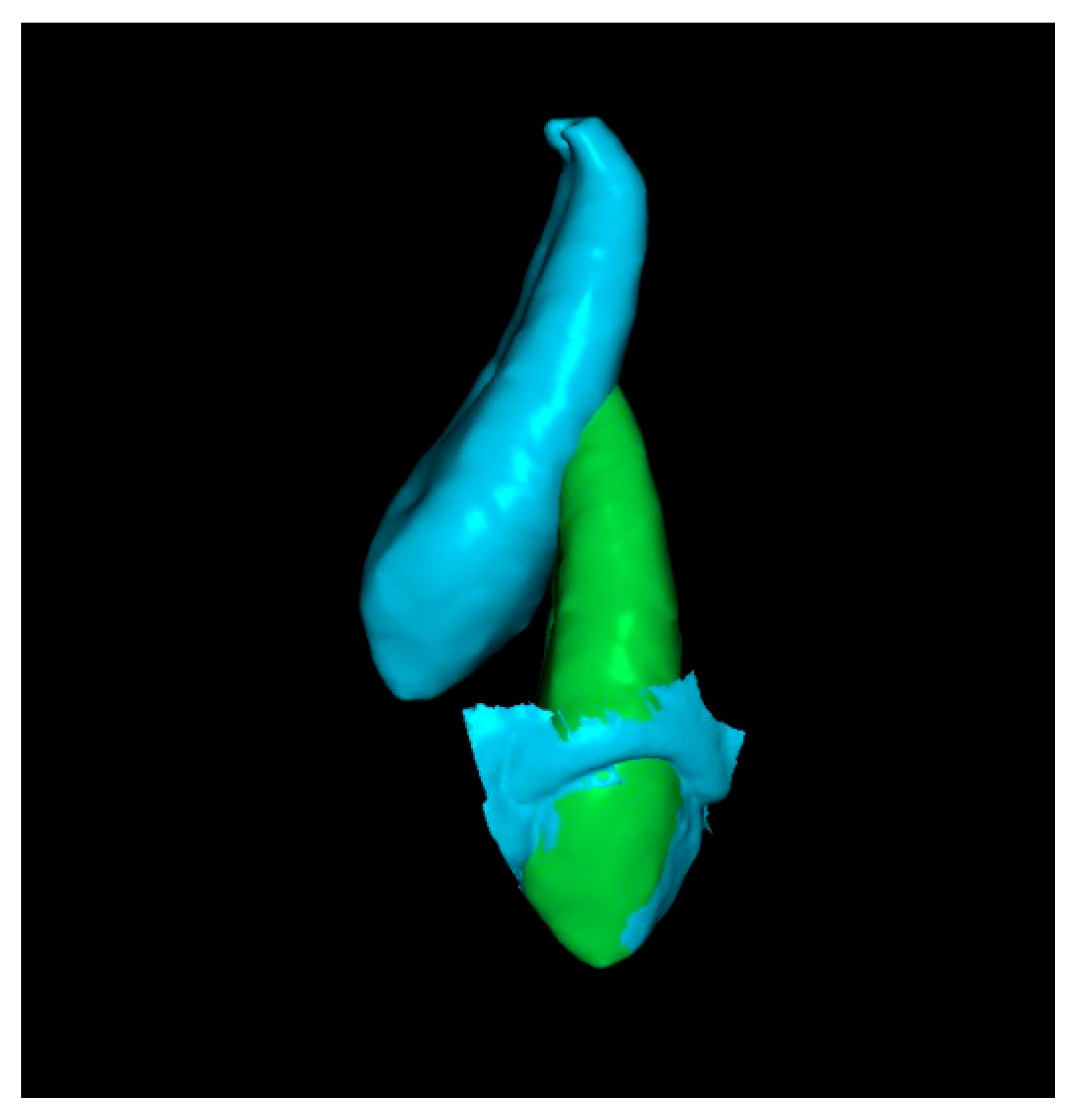 Dentistry 13 00286 g008