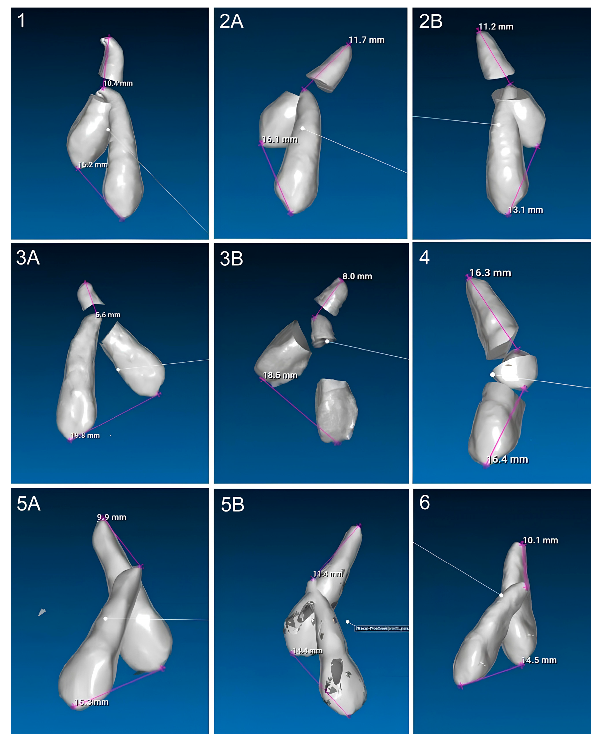 Dentistry 13 00286 g010