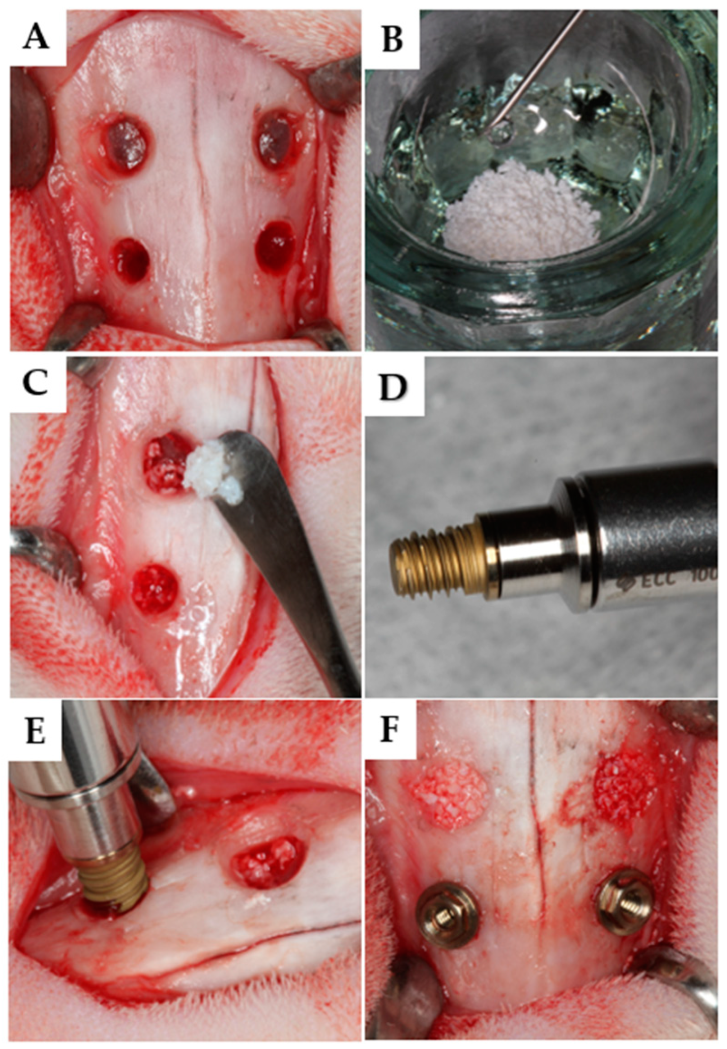 Dentistry 13 00293 g001