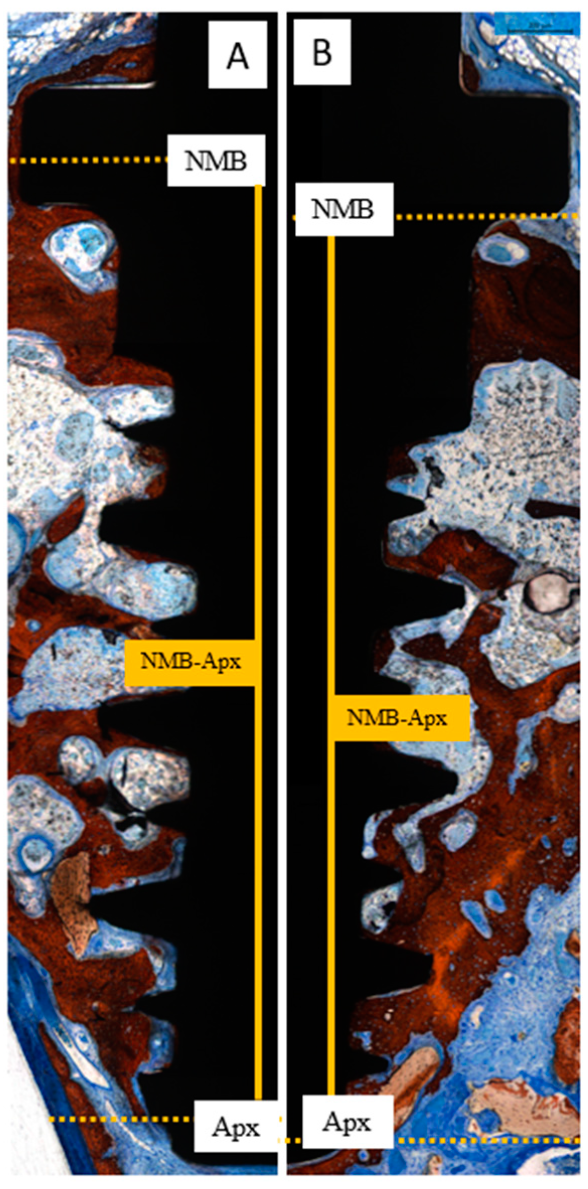 Dentistry 13 00293 g008