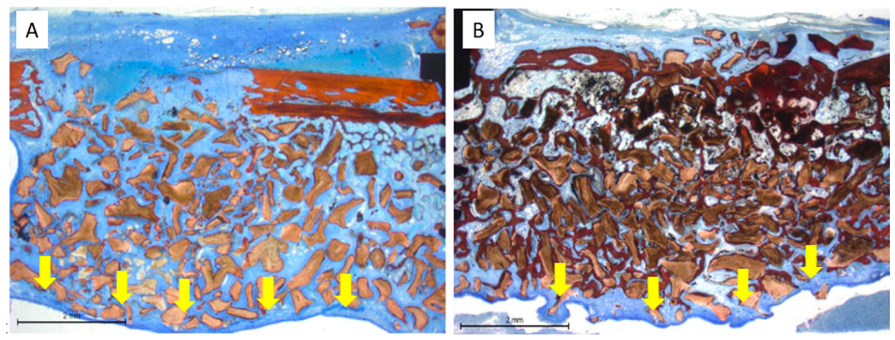 Dentistry 13 00293 g009