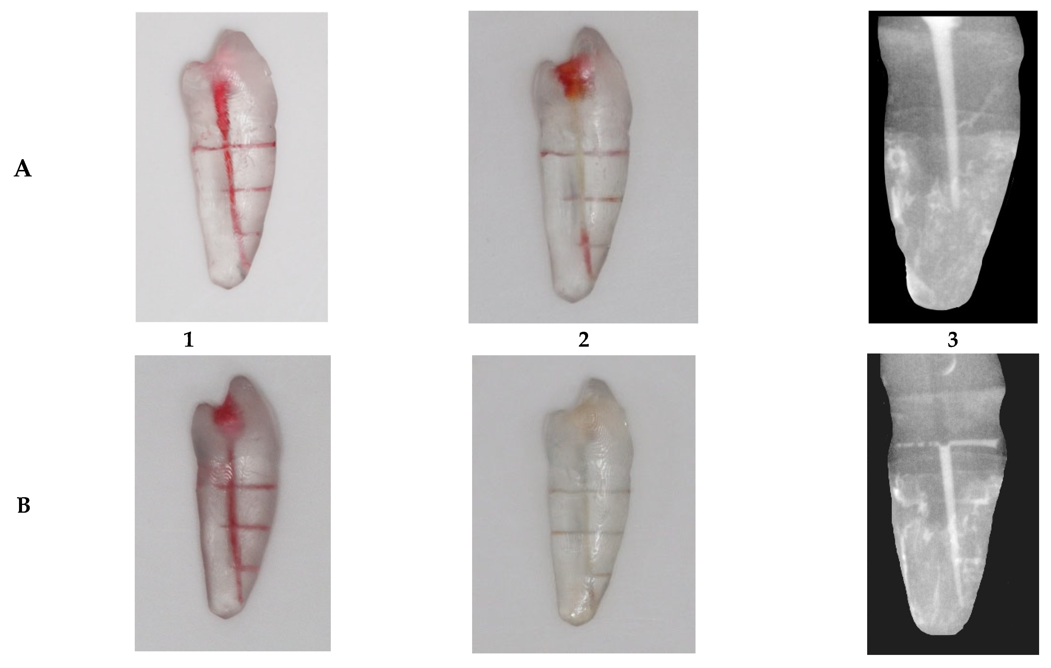 Dentistry 13 00295 g003