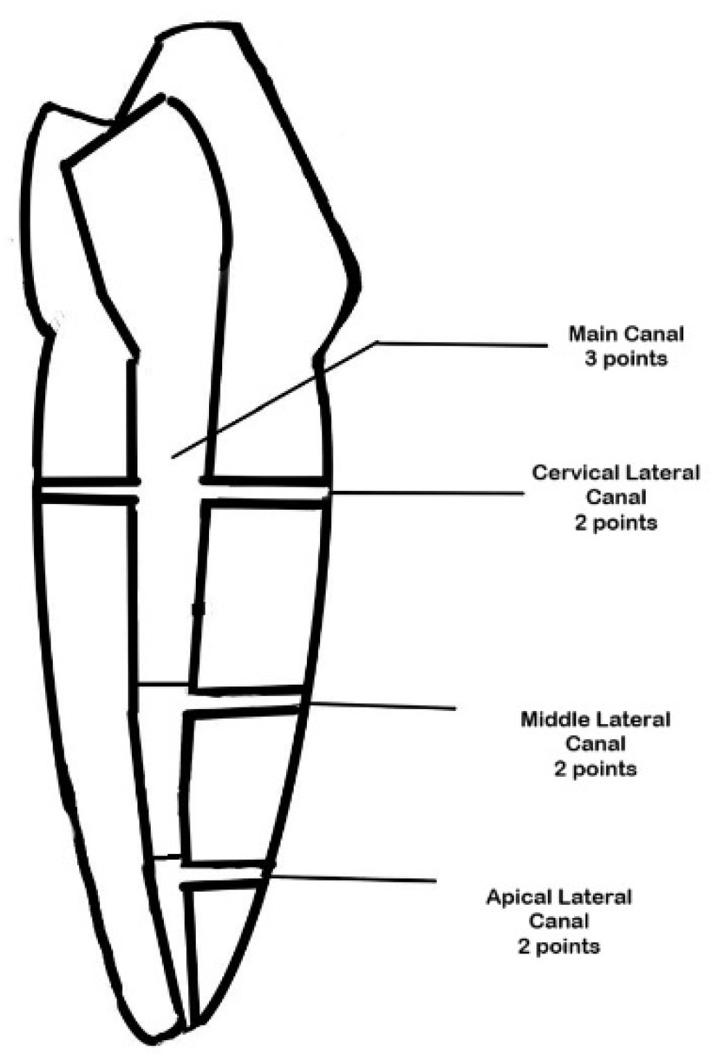 Dentistry 13 00295 g004