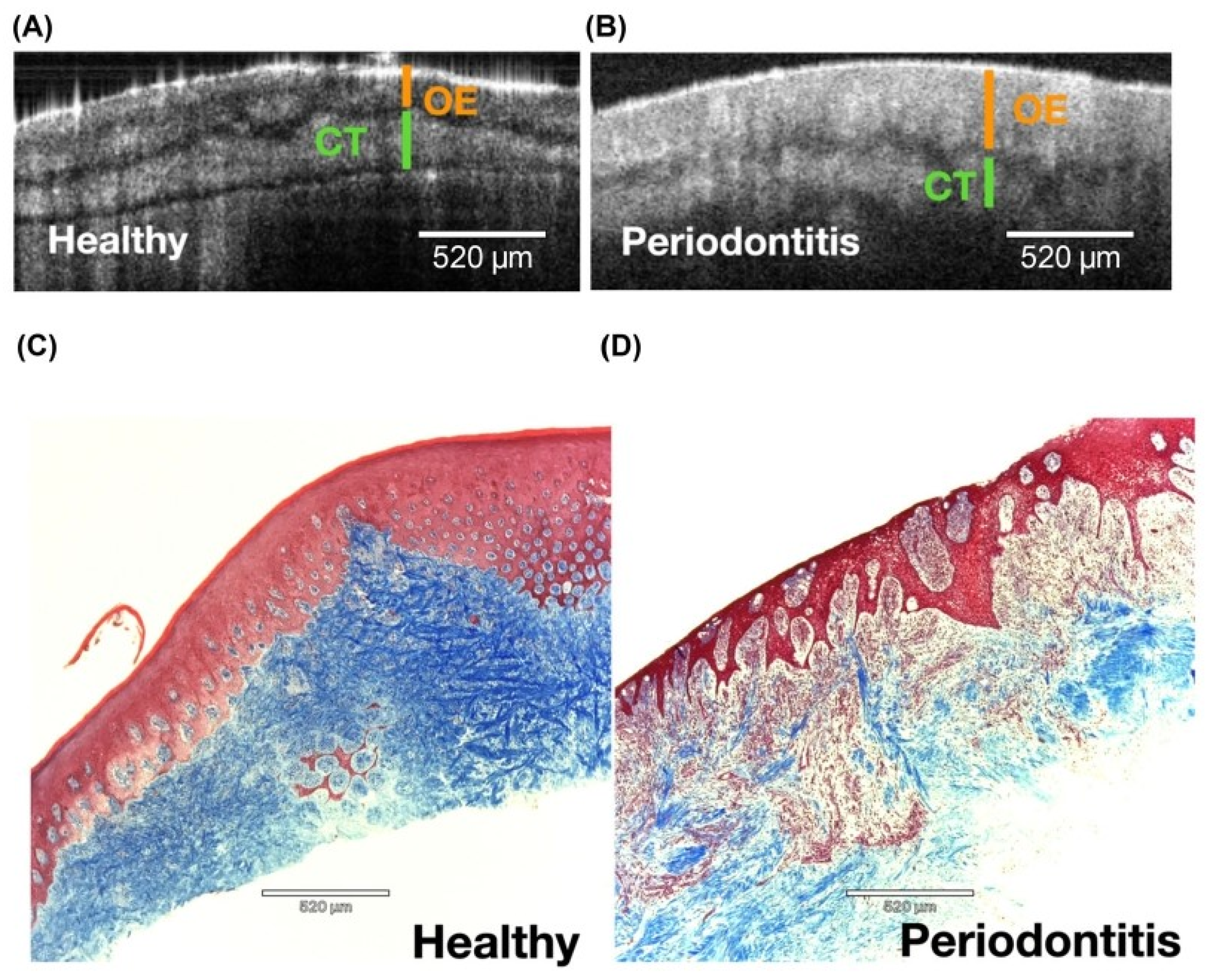 Dentistry 13 00305 g005