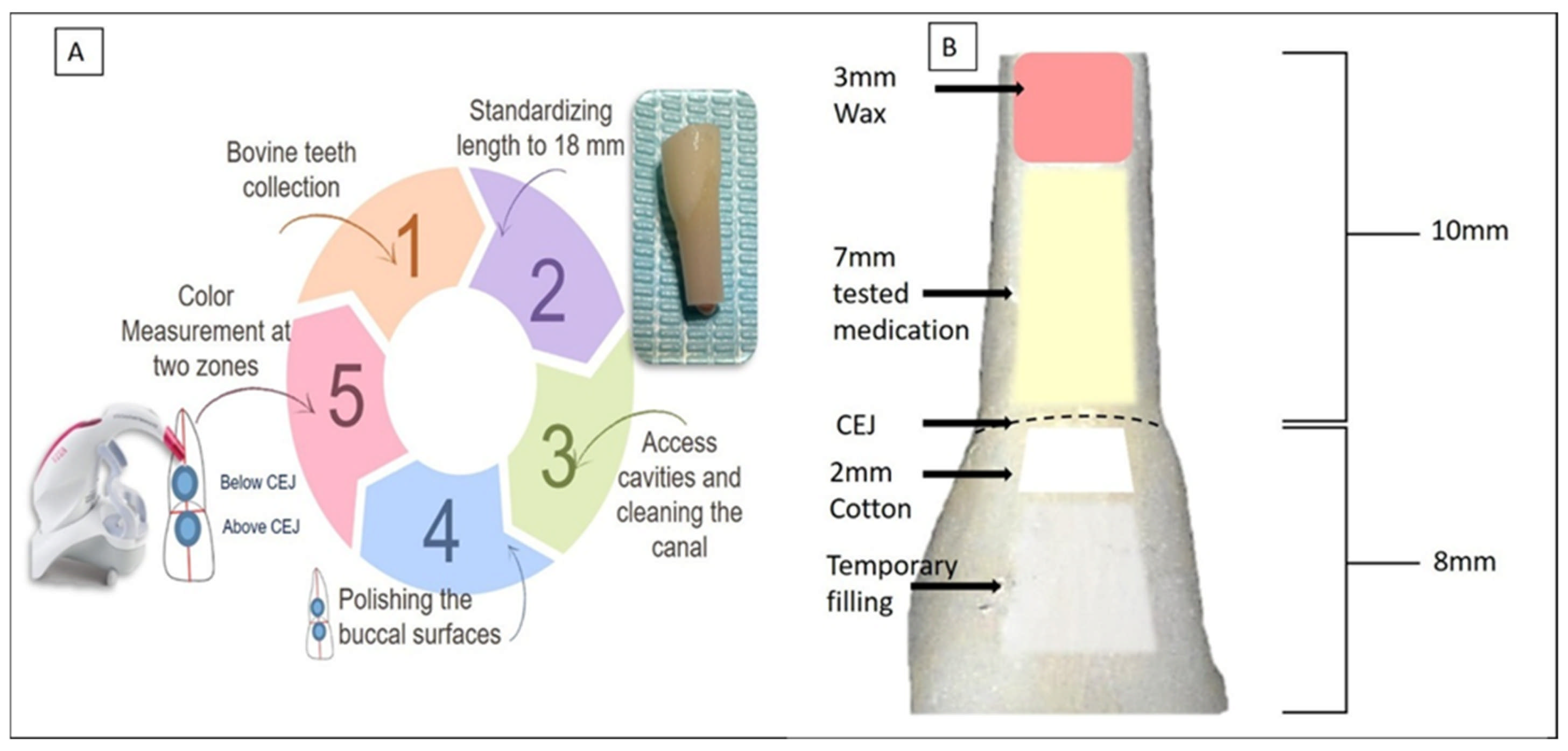 Dentistry 13 00307 g001