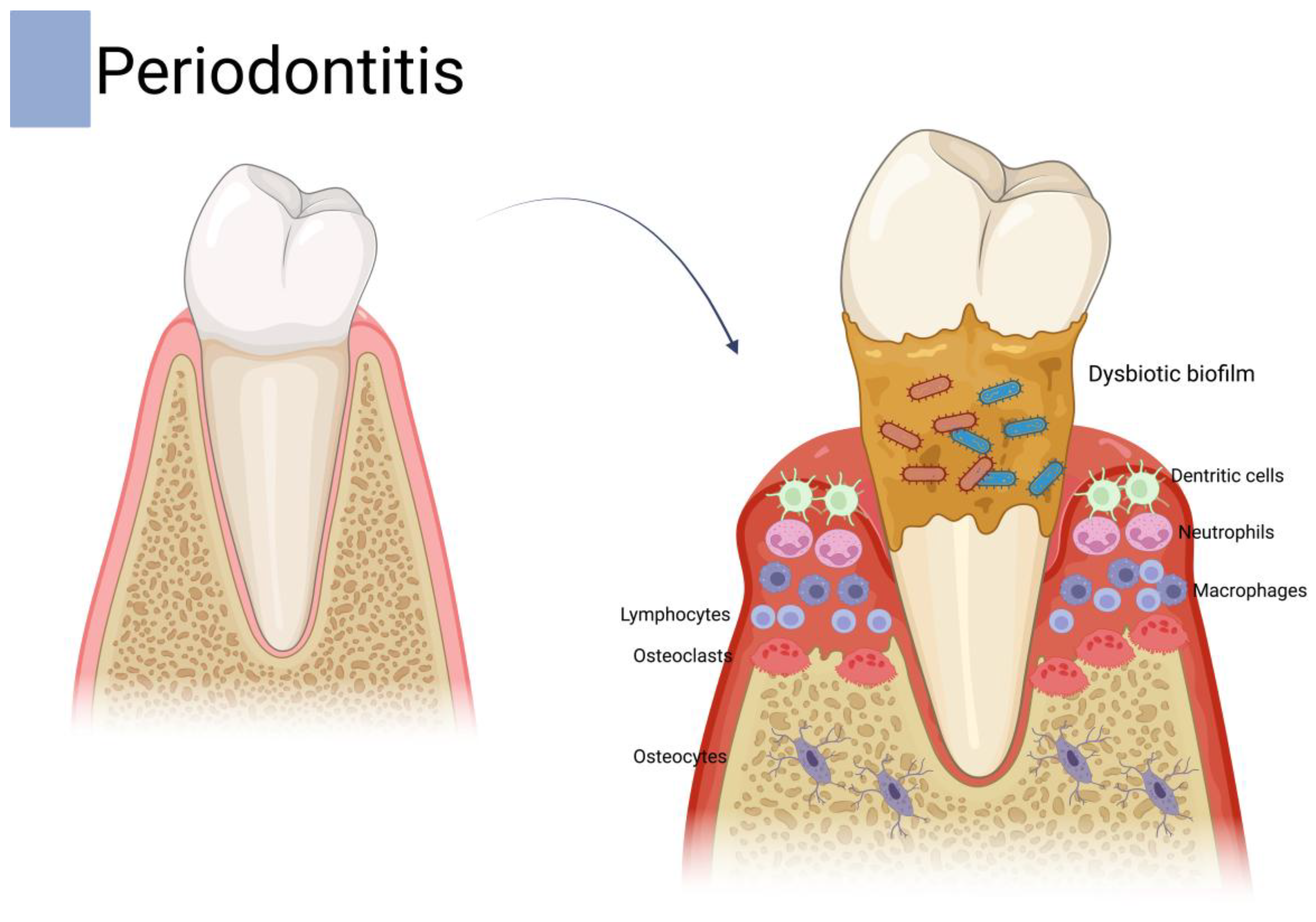 Dentistry 13 00309 g001