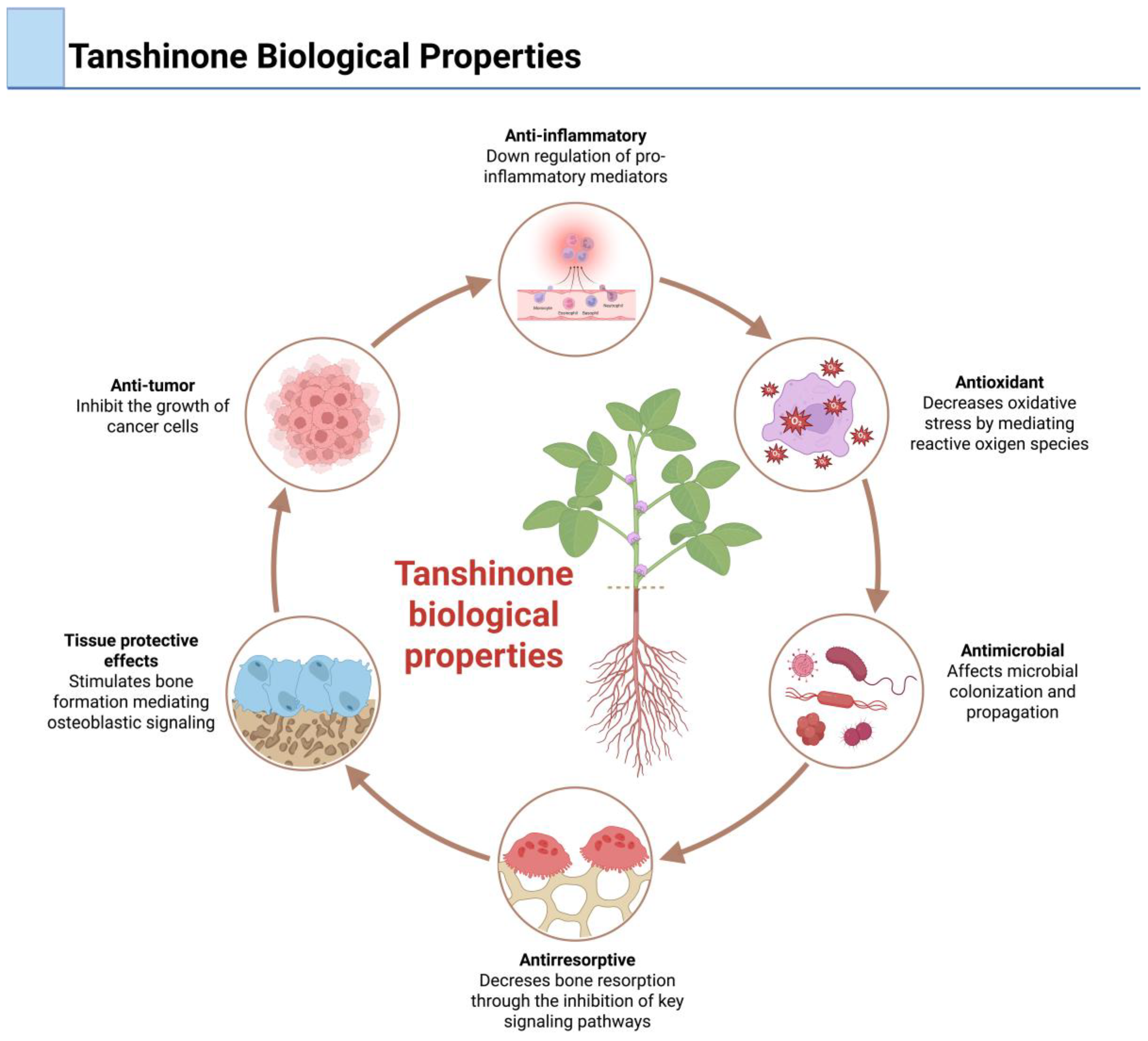 Dentistry 13 00309 g002