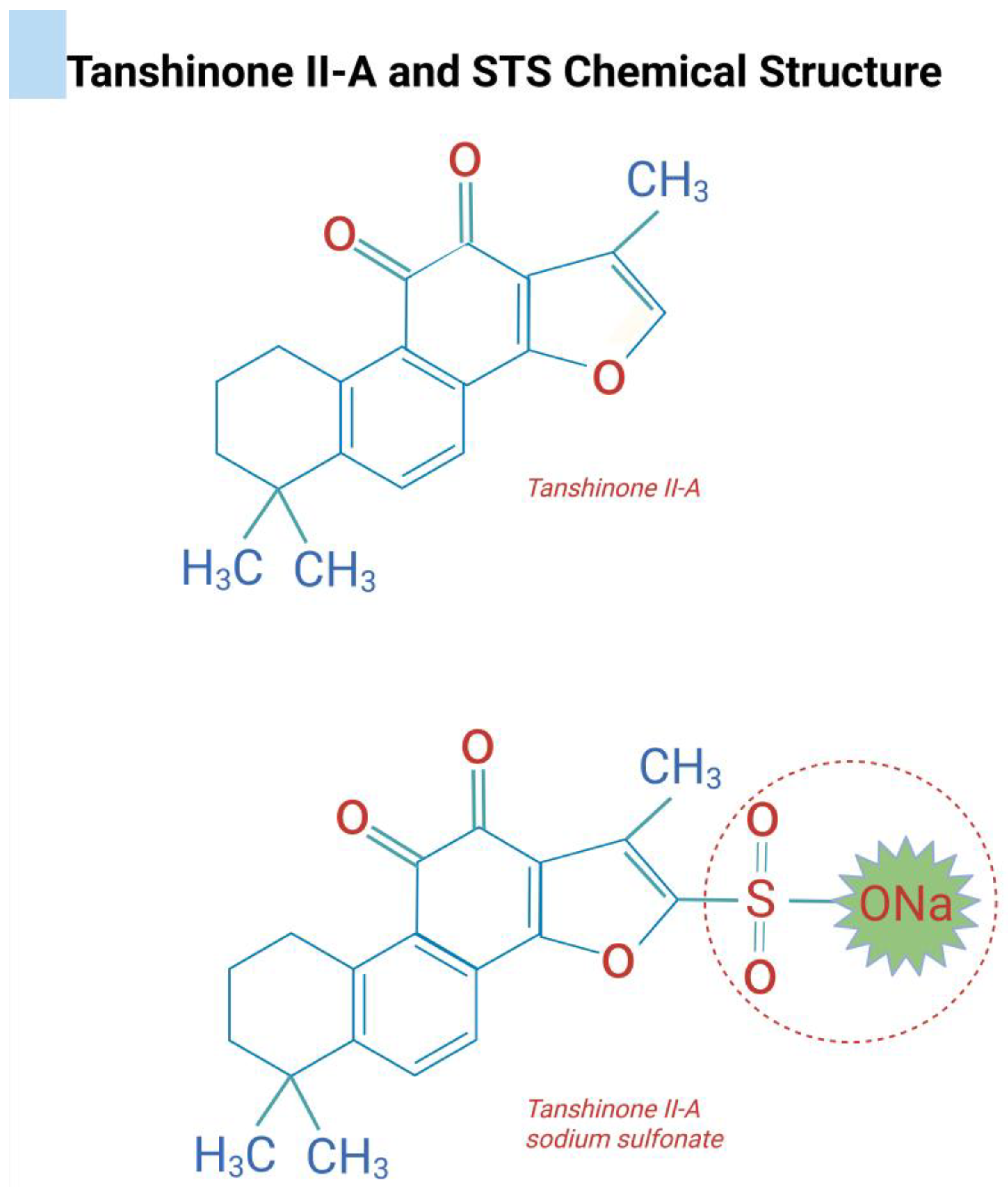 Dentistry 13 00309 g003