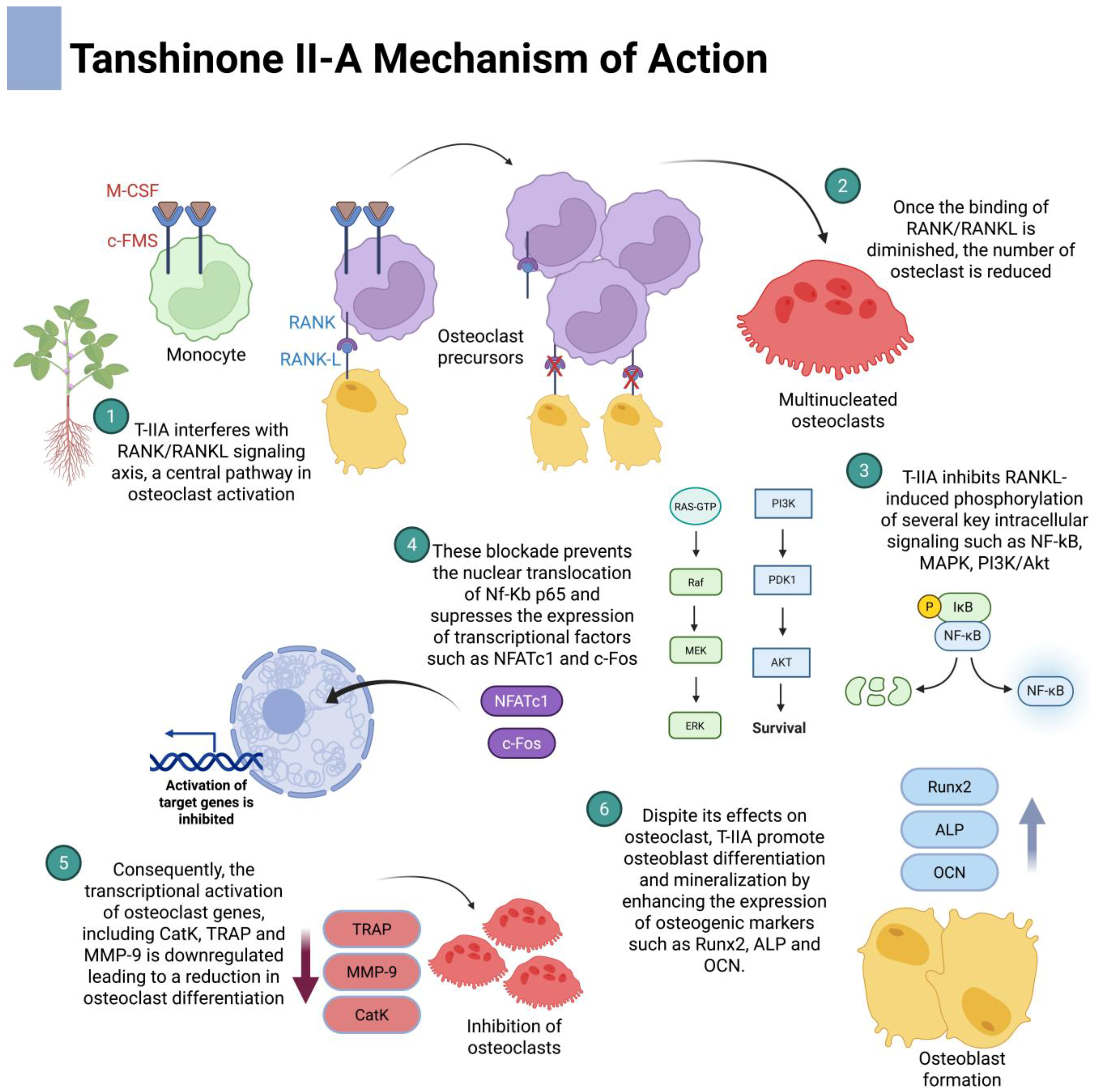 Dentistry 13 00309 g004
