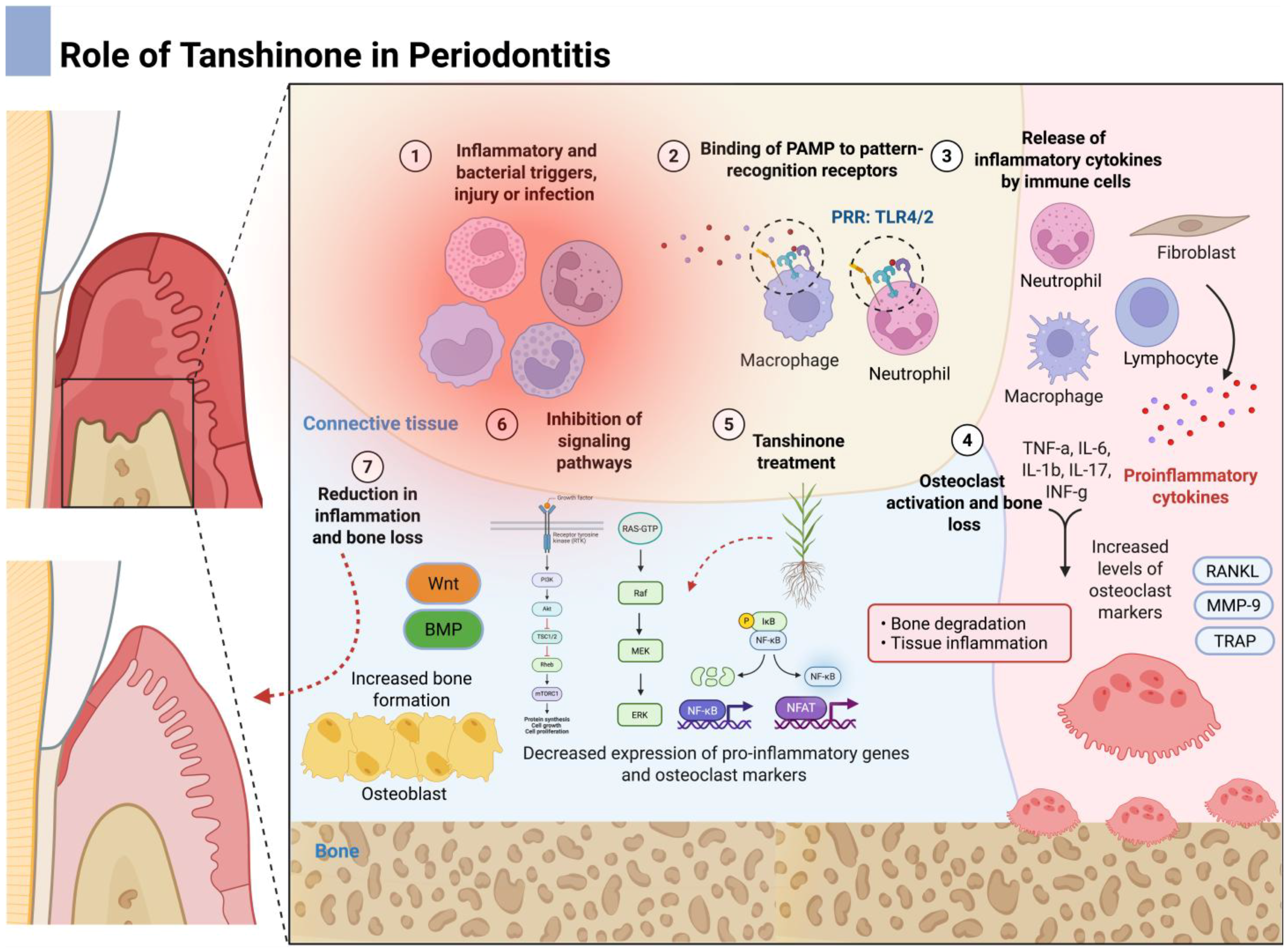 Dentistry 13 00309 g006
