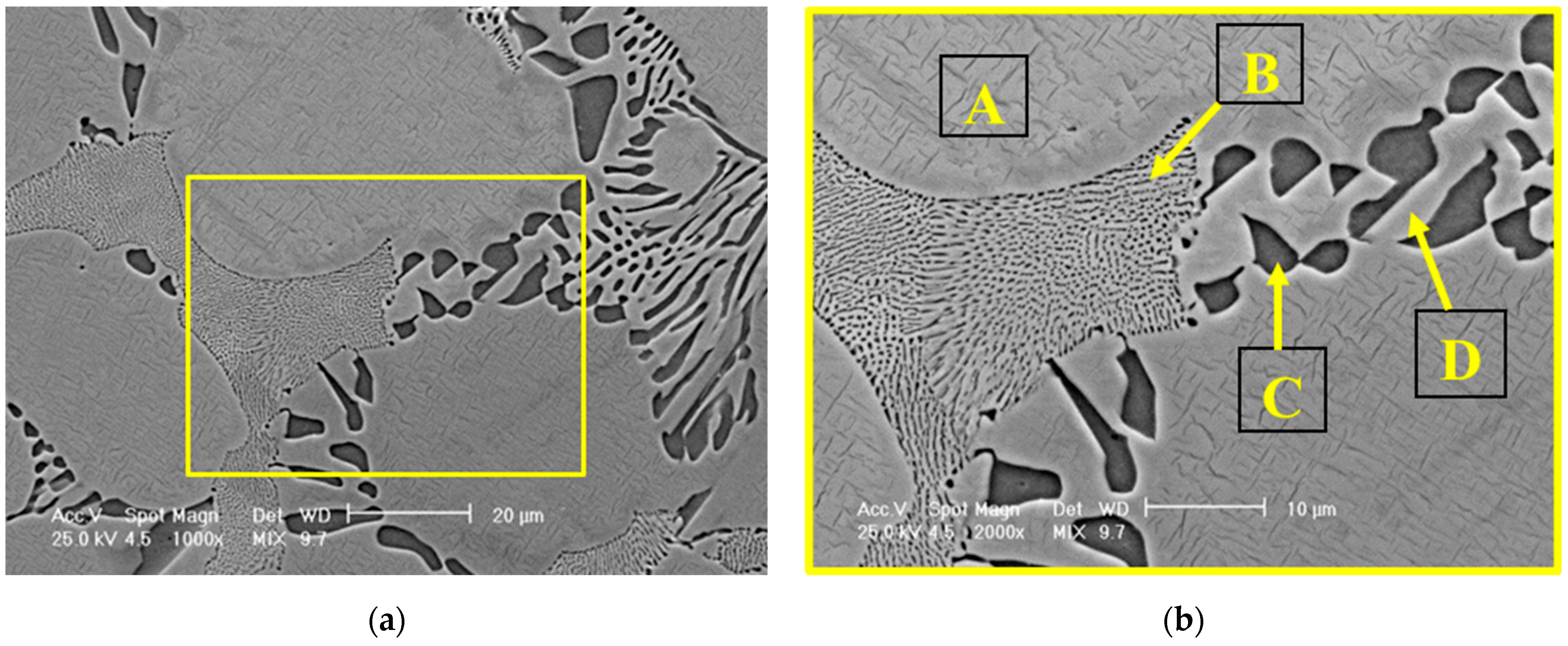 Dentistry 13 00318 g003 Dentistry 13 00318 g003