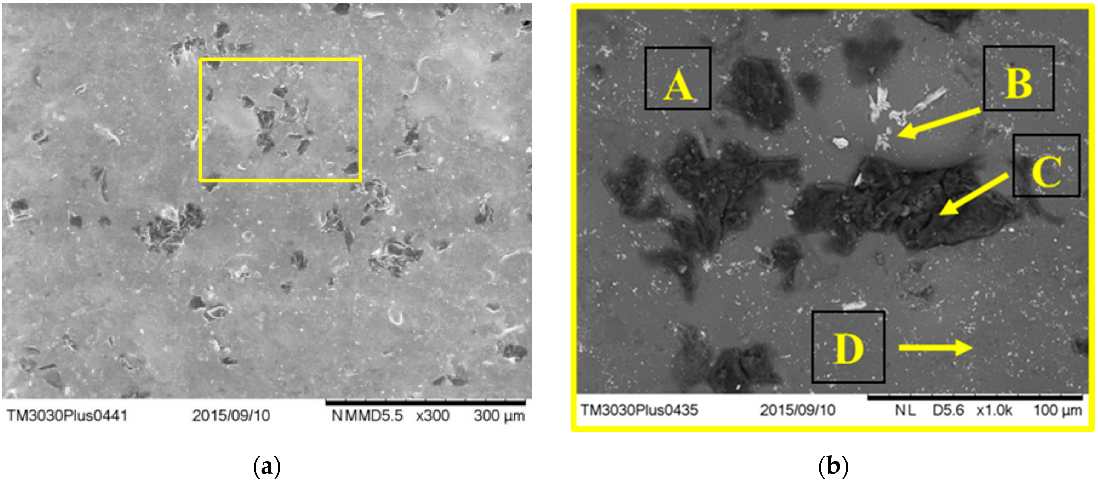 Dentistry 13 00318 g010 Dentistry 13 00318 g010
