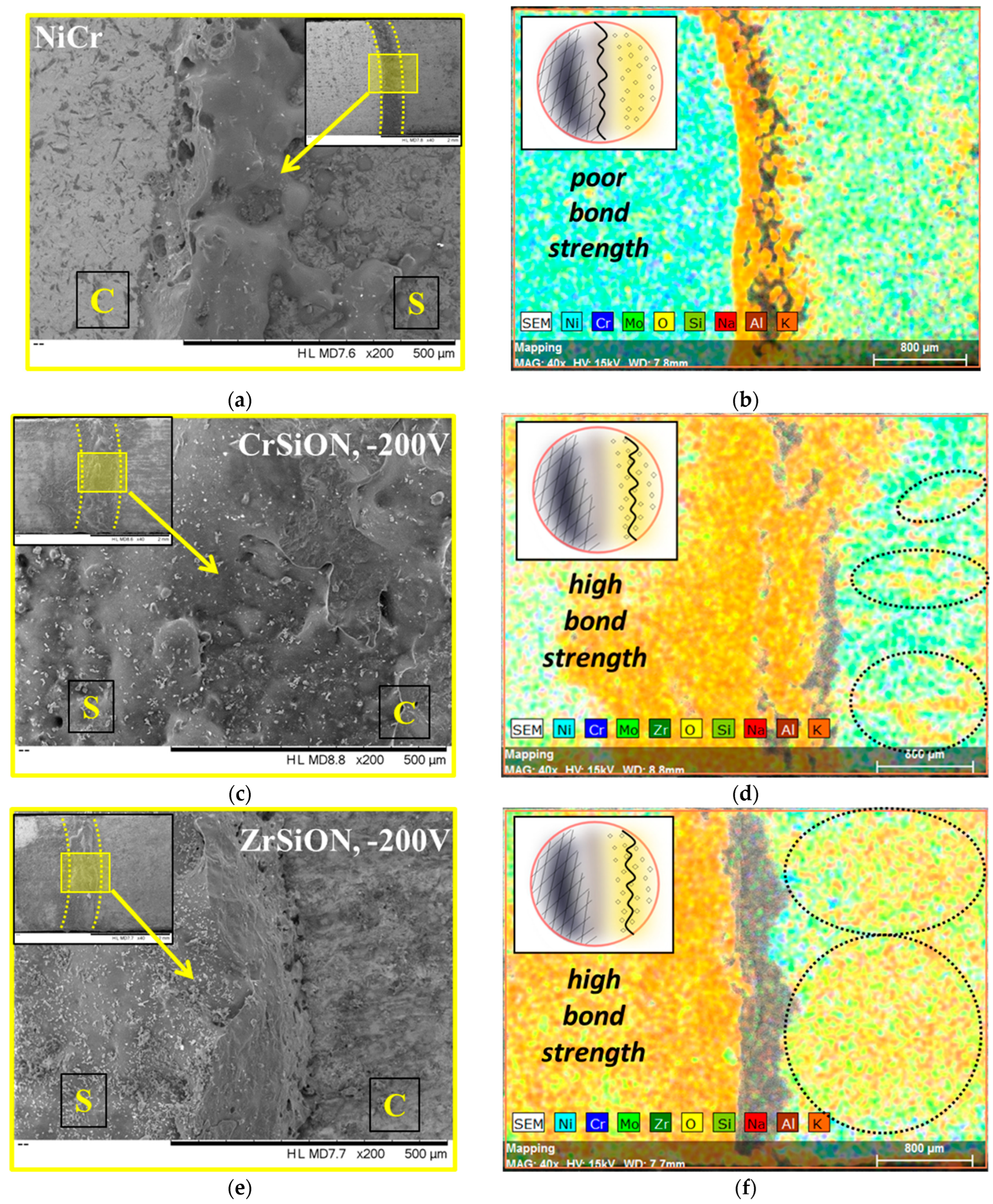 Dentistry 13 00318 g013 Dentistry 13 00318 g013