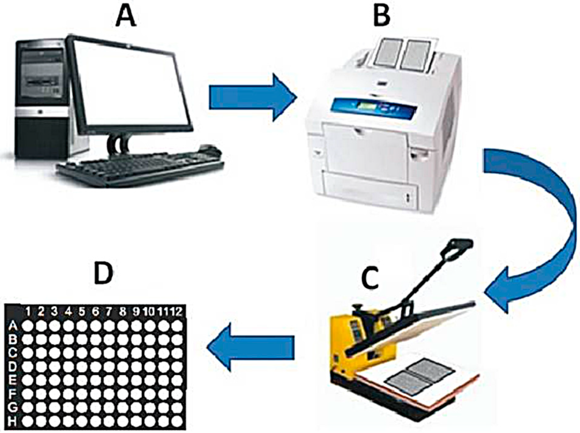 Dentistry 13 00321 g001